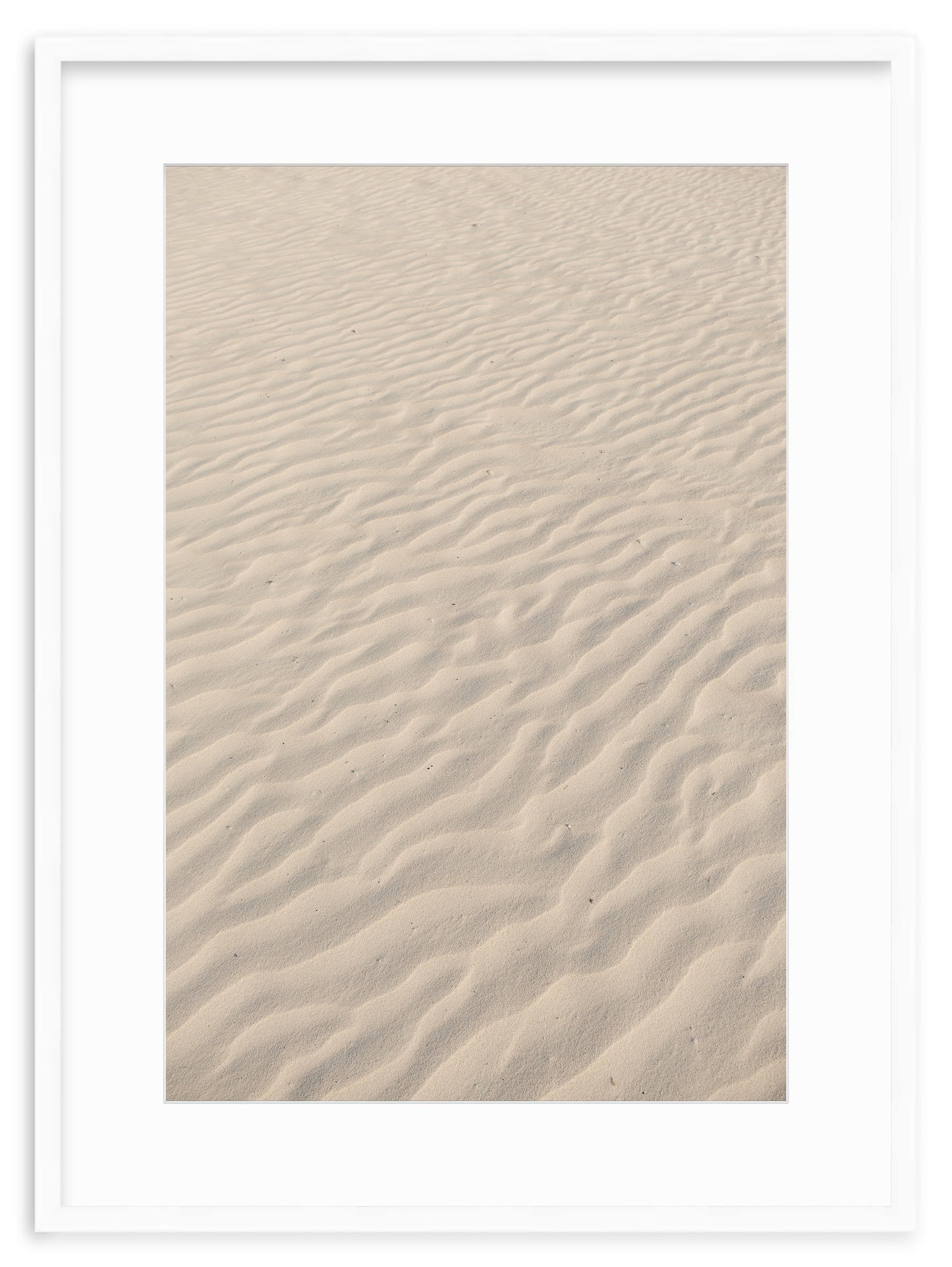 SANDY