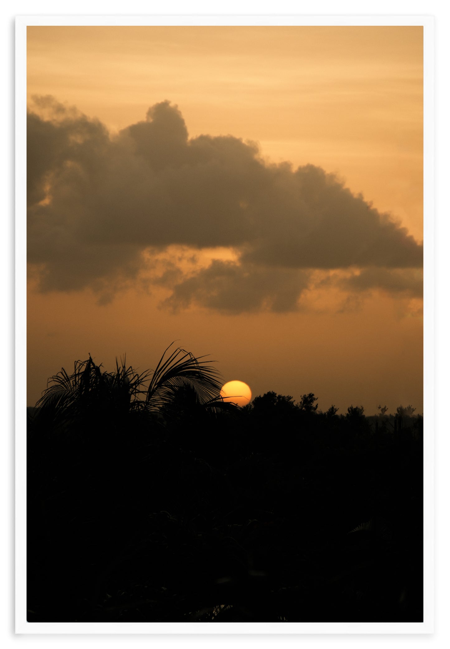 SUNSET SERENITY