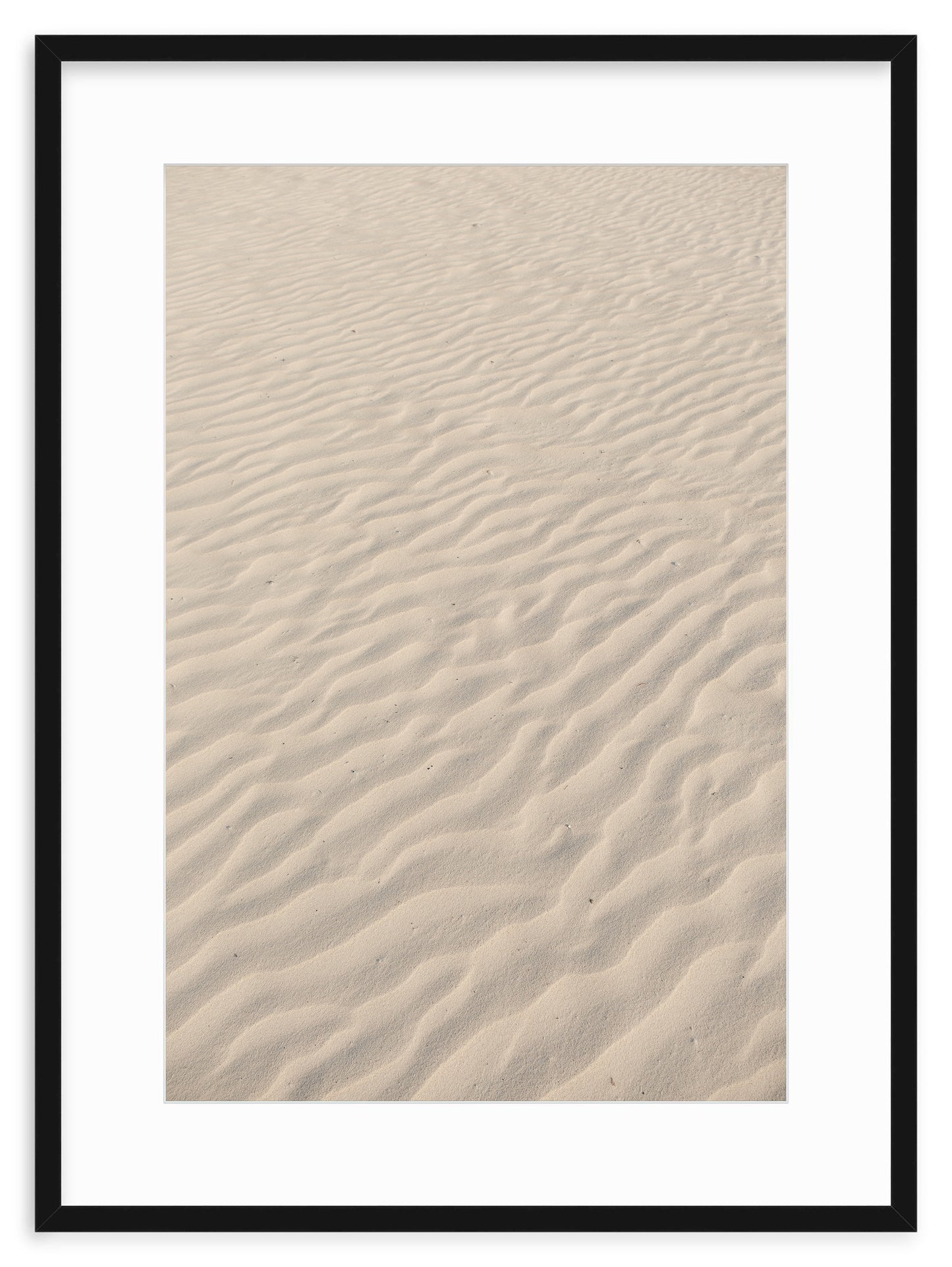 SANDY
