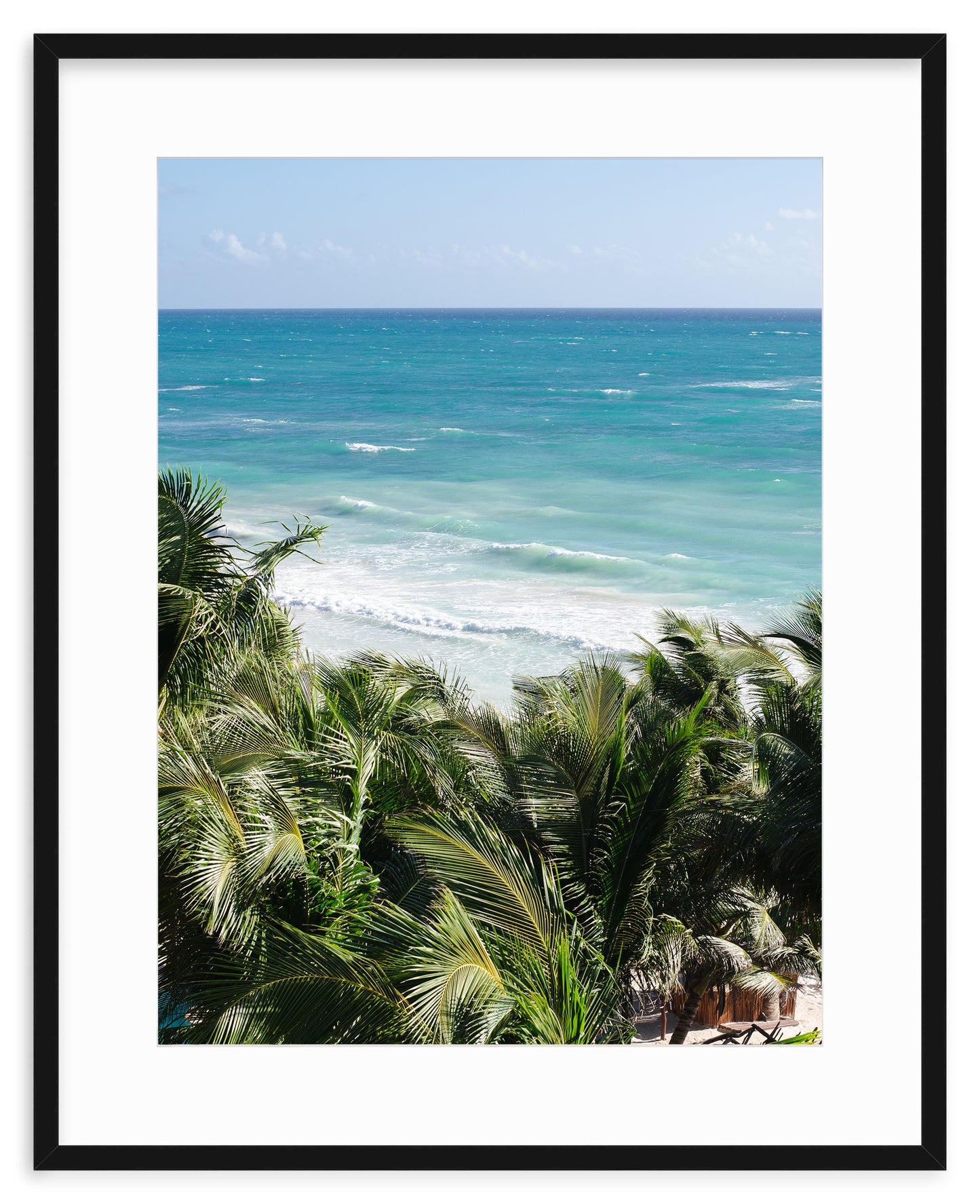 BEYOND THE PALMS