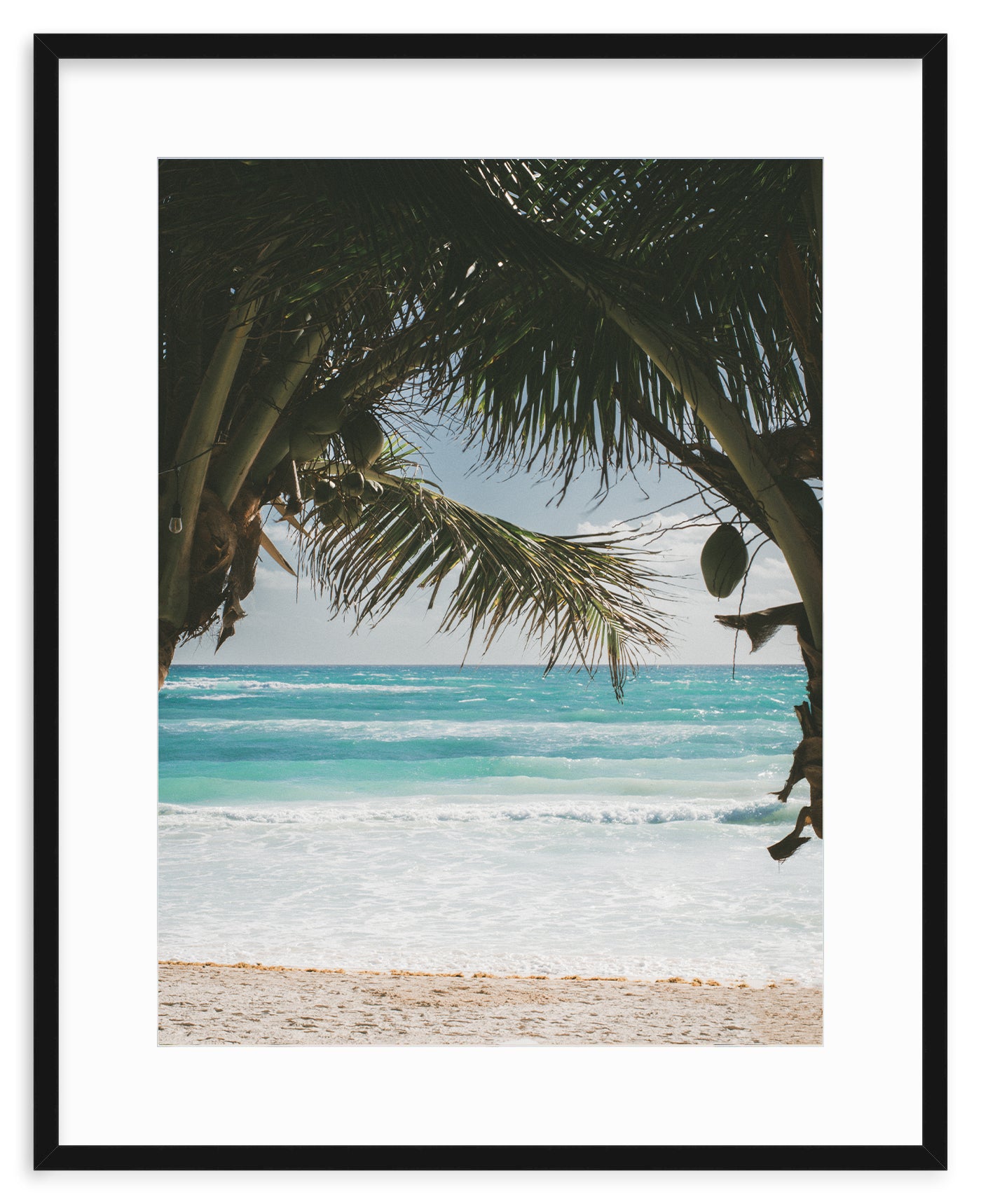 BEYOND THE PALMS II