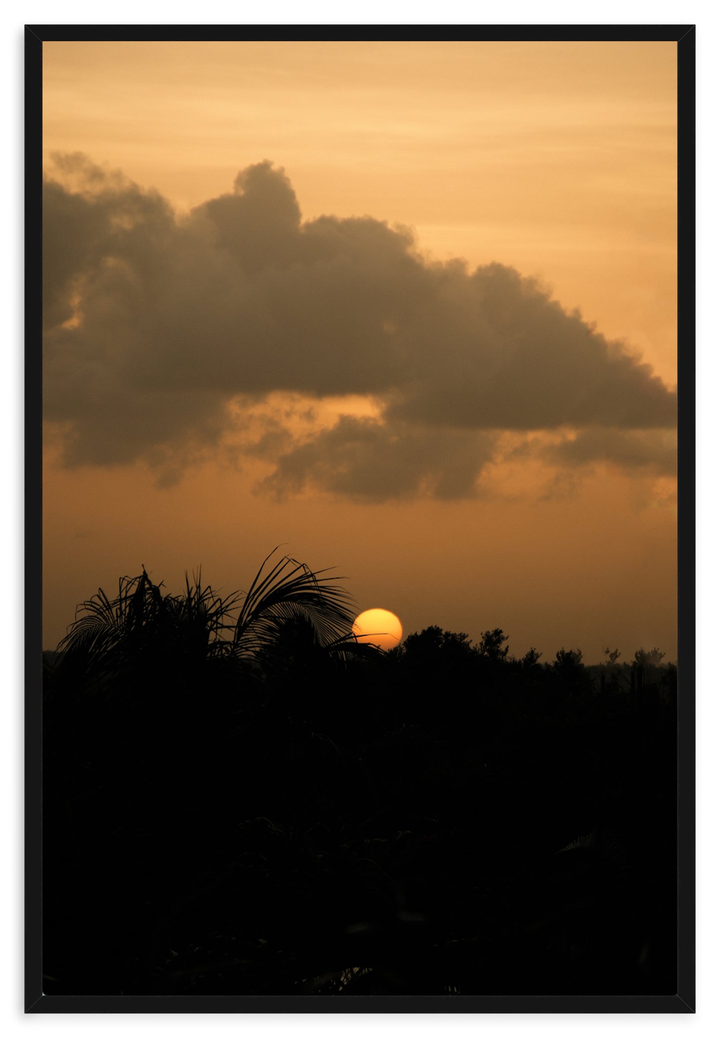 SUNSET SERENITY