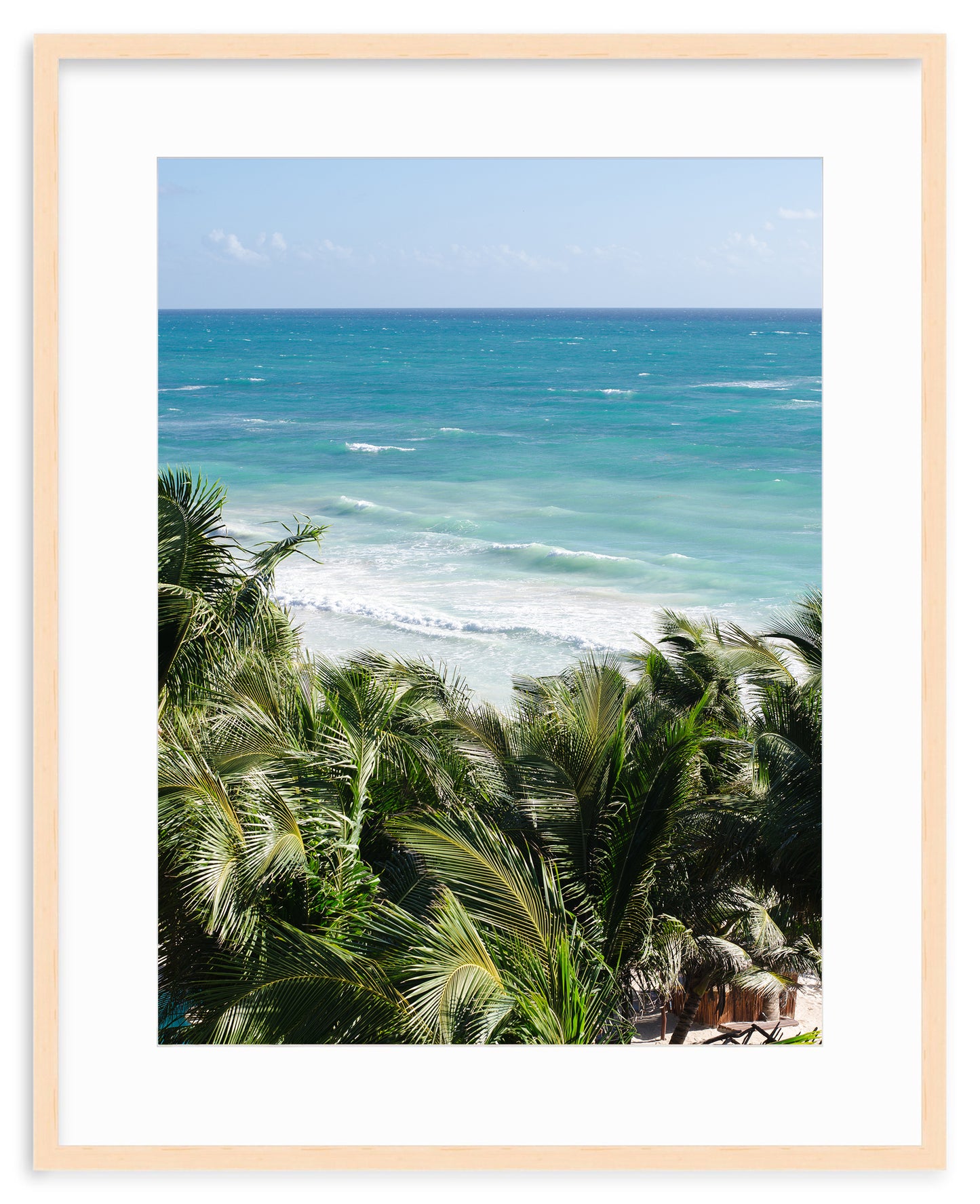 BEYOND THE PALMS