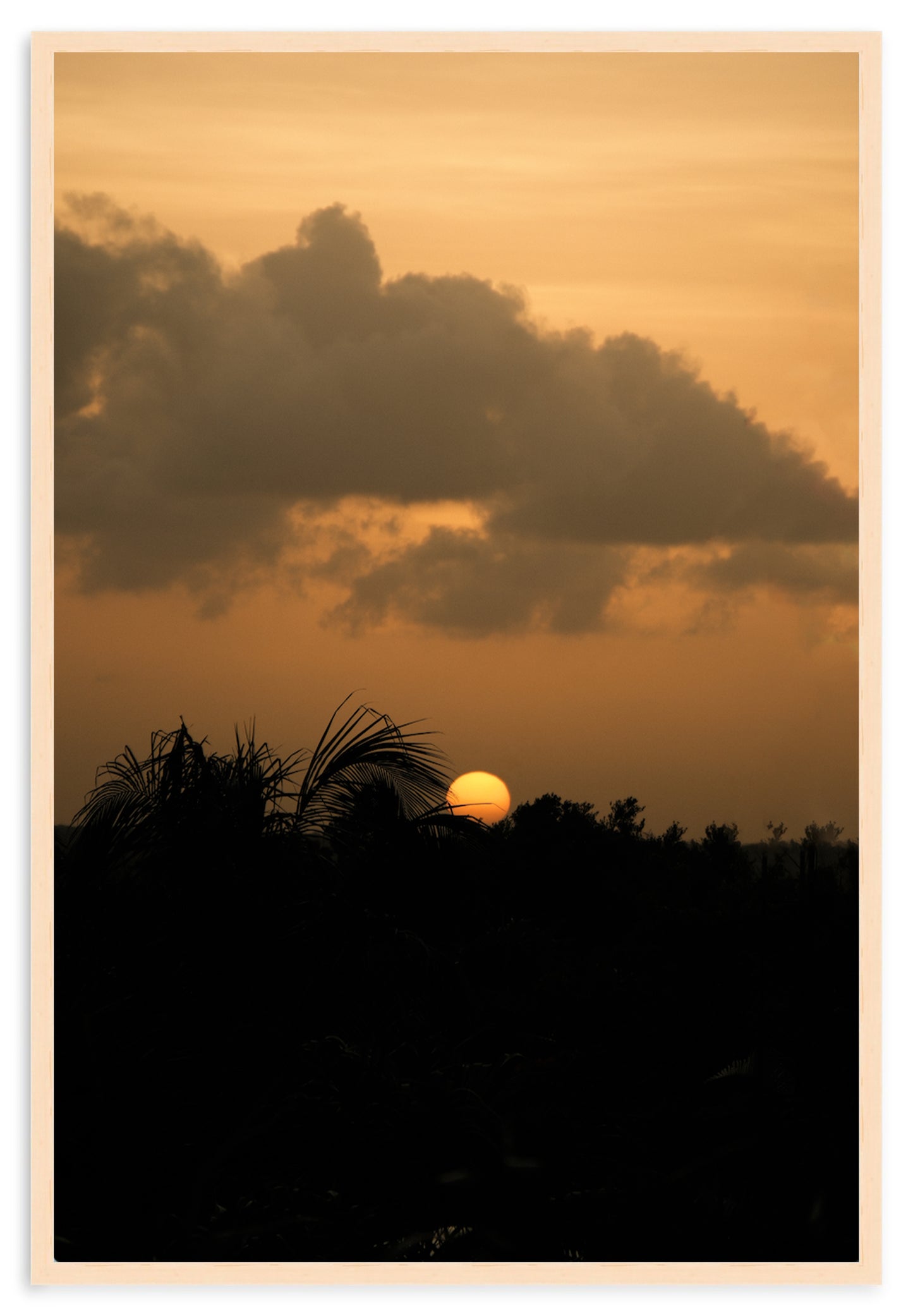 SUNSET SERENITY