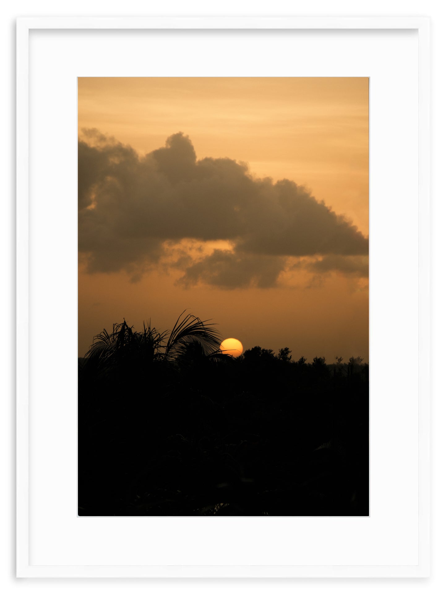 SUNSET SERENITY