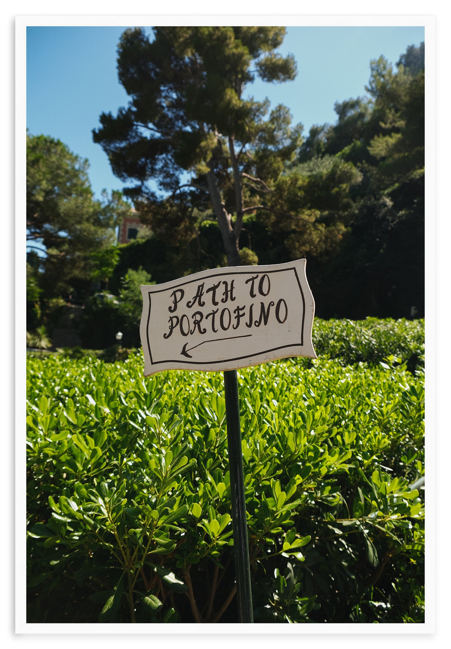 PATH TO PORTOFINO