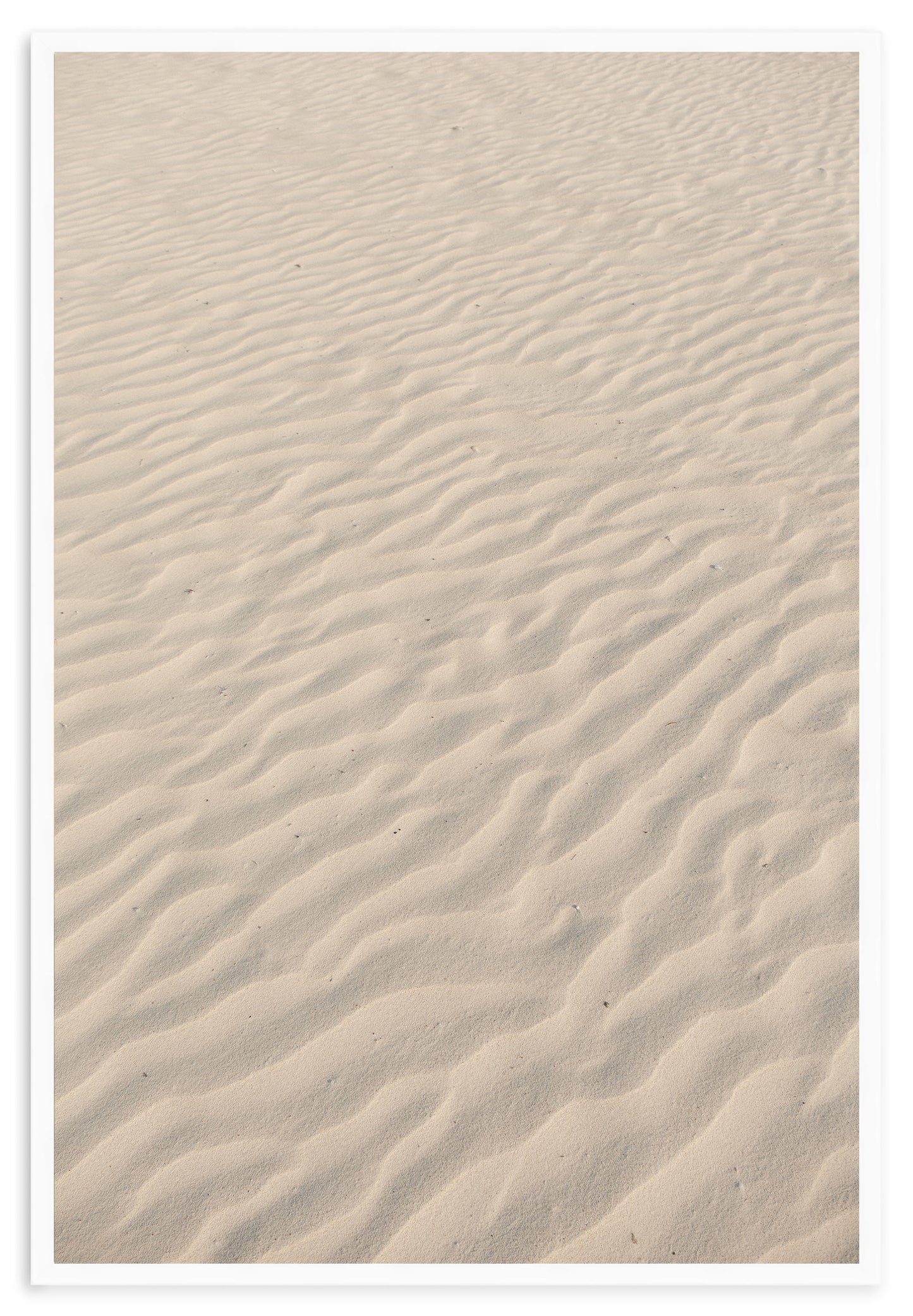 SANDY