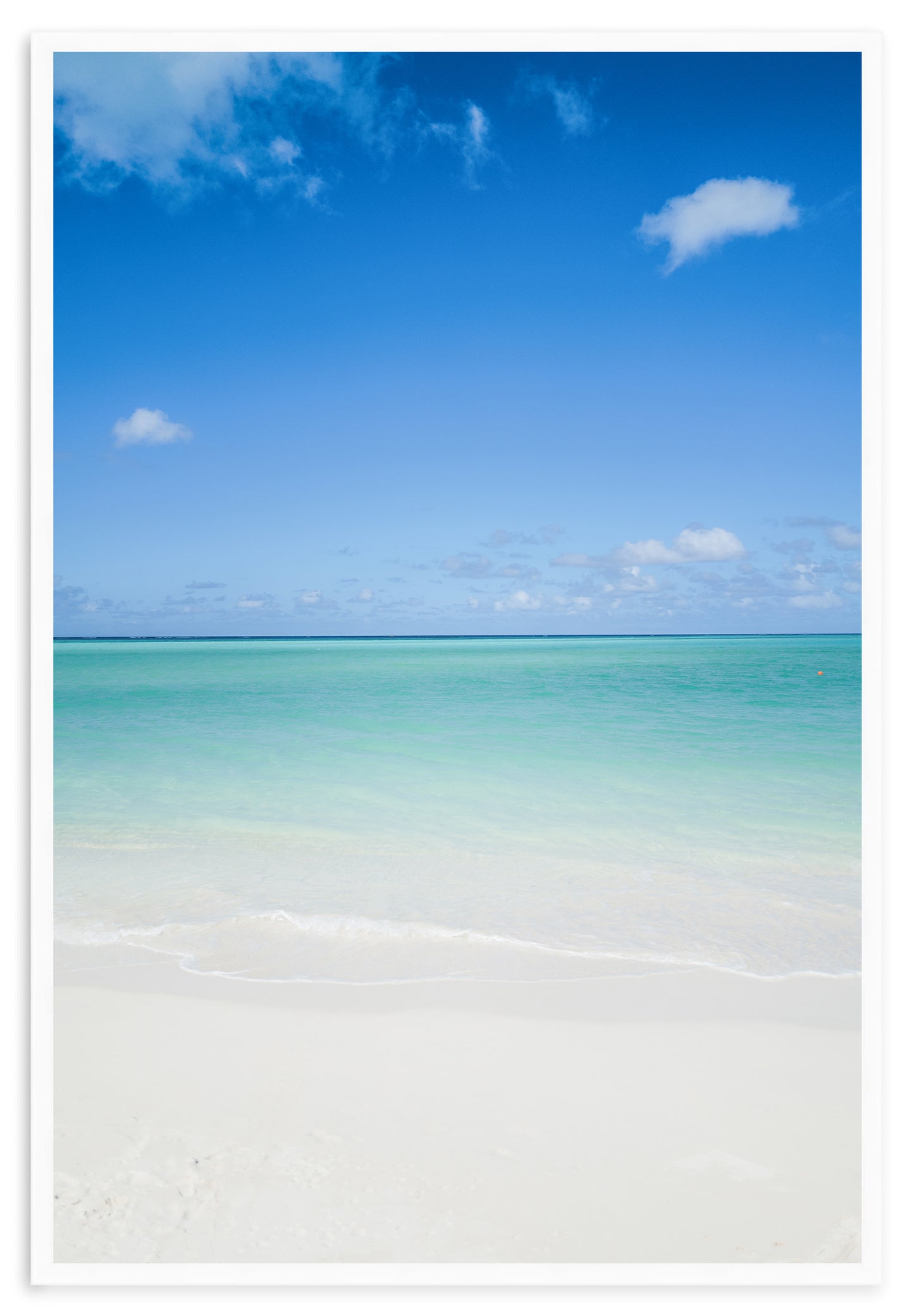 PARROT CAY TRIO