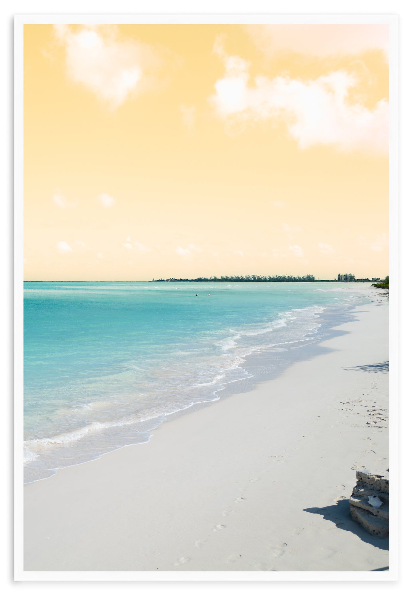 PARROT CAY TRIO