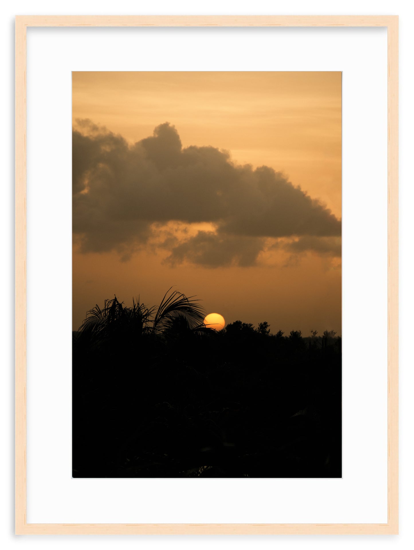 SUNSET SERENITY