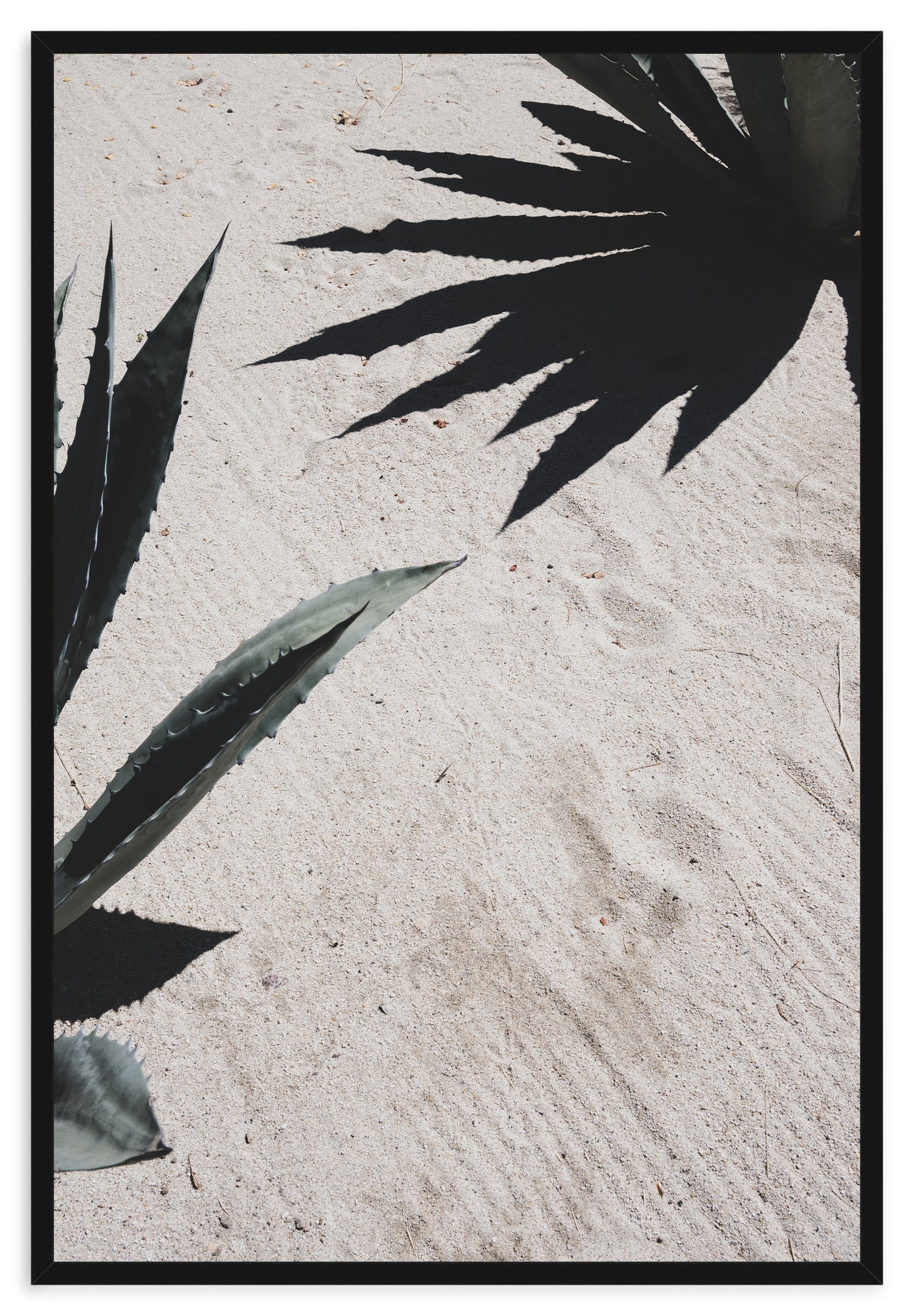 DESERT SILHOUETTES