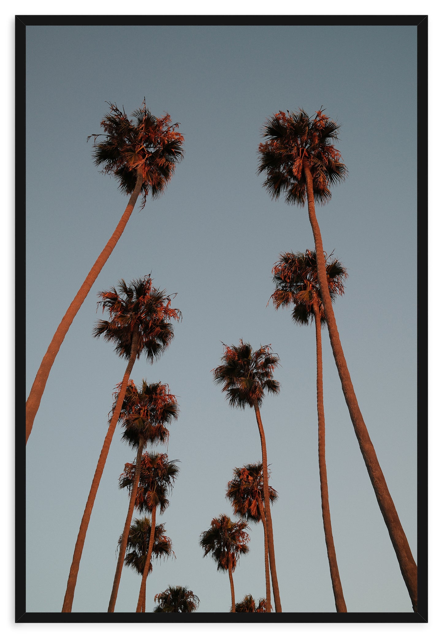 OCEAN AVE SUNSET