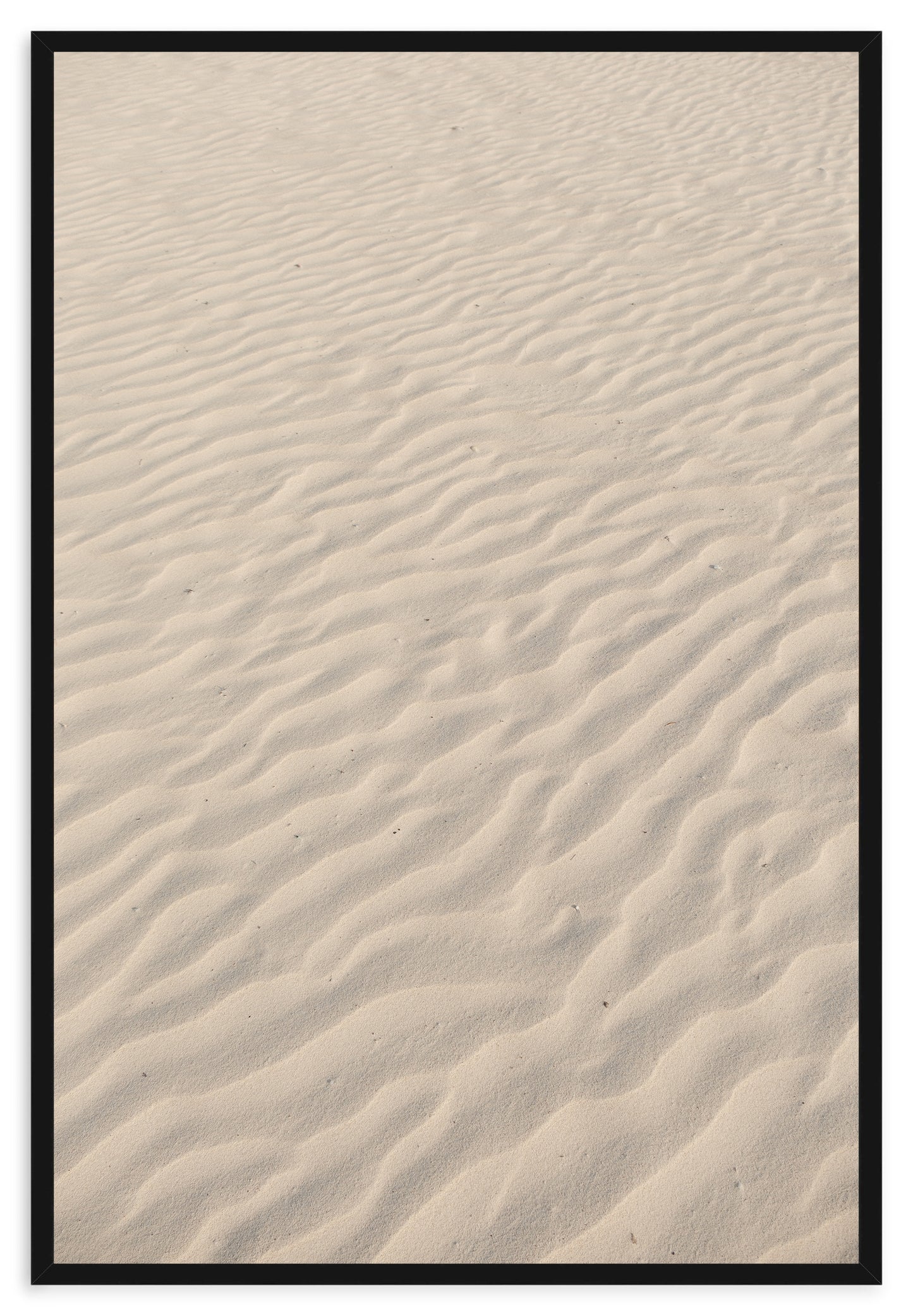 SANDY