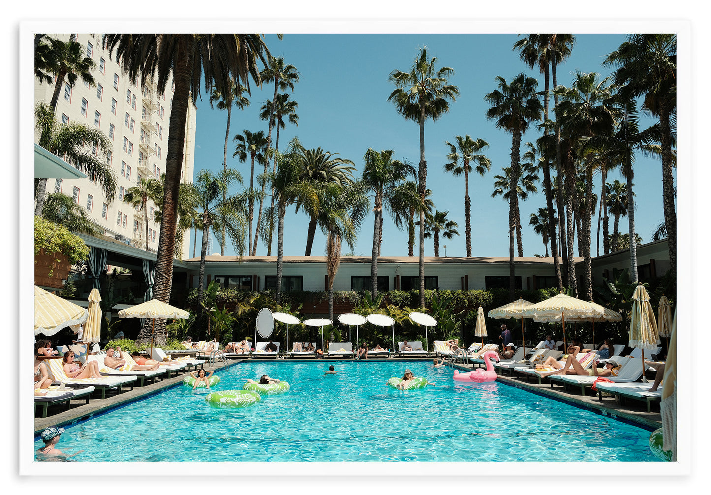 ROOSEVELT POOL