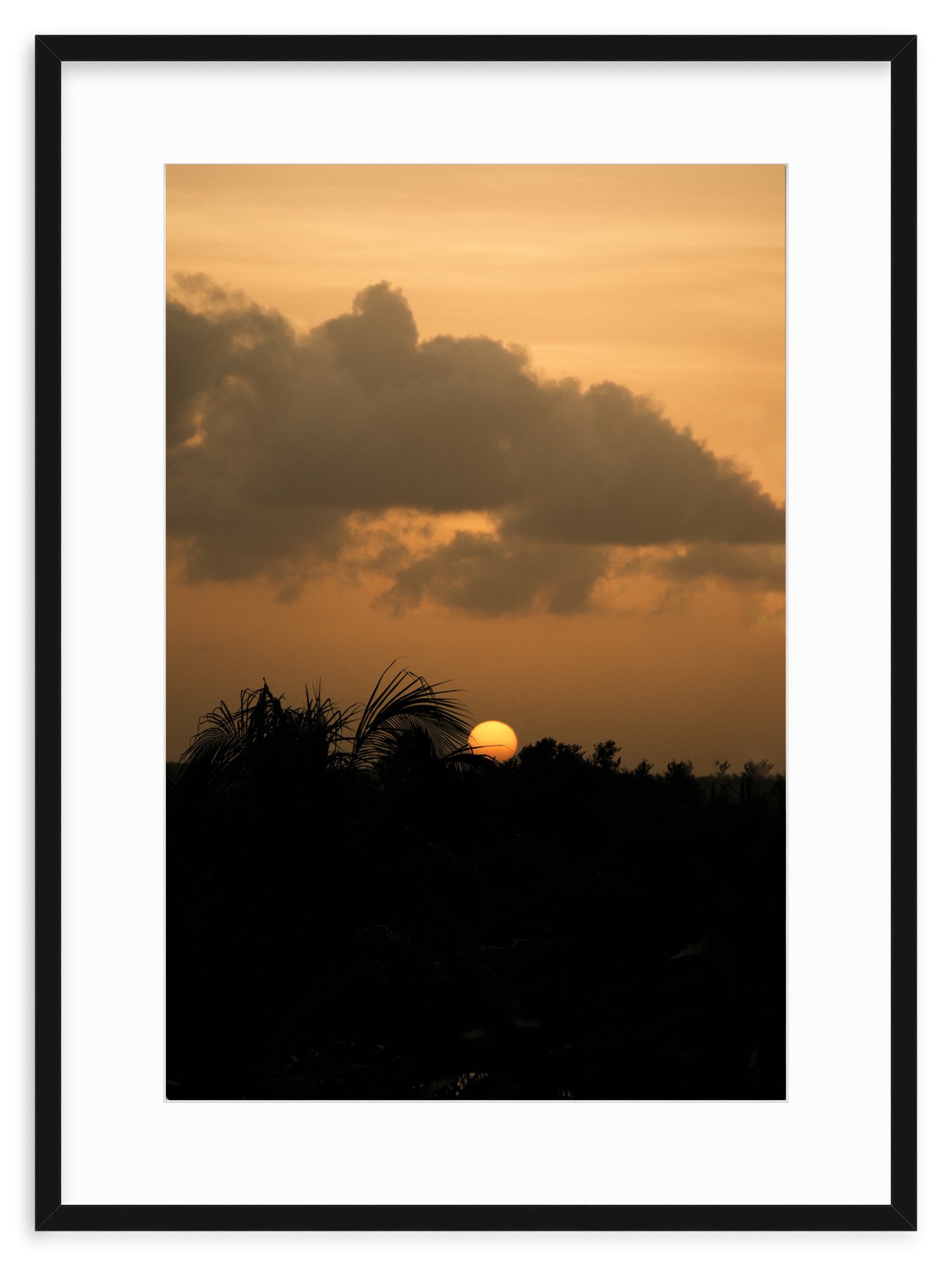 SUNSET SERENITY