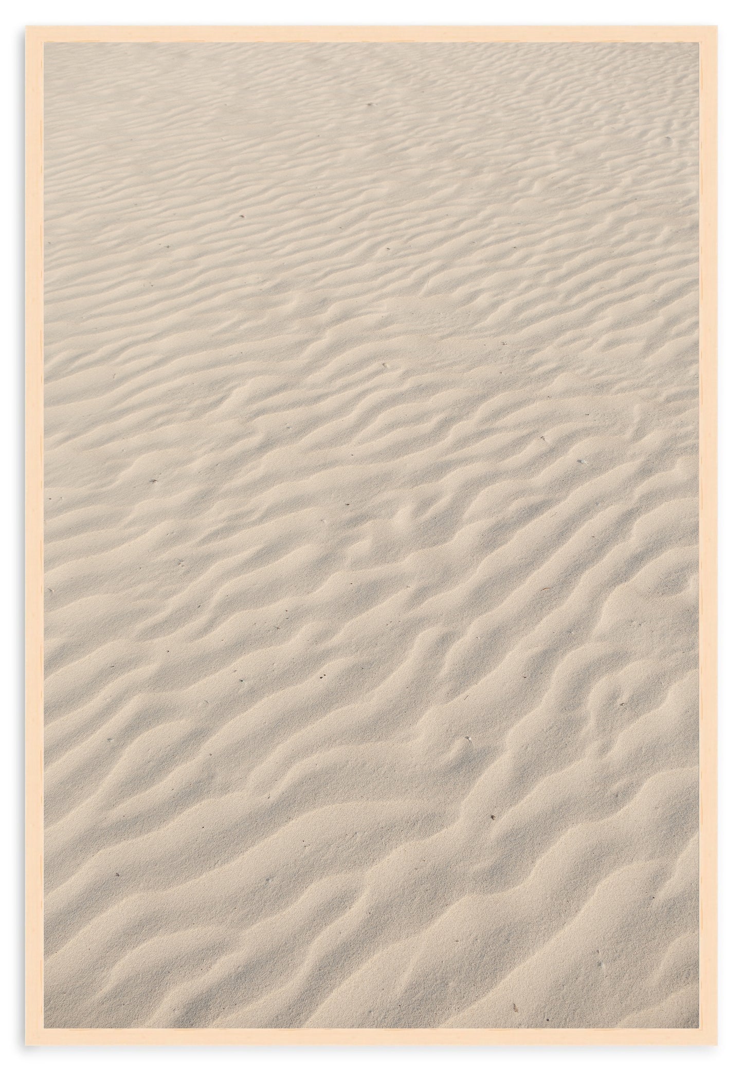 SANDY