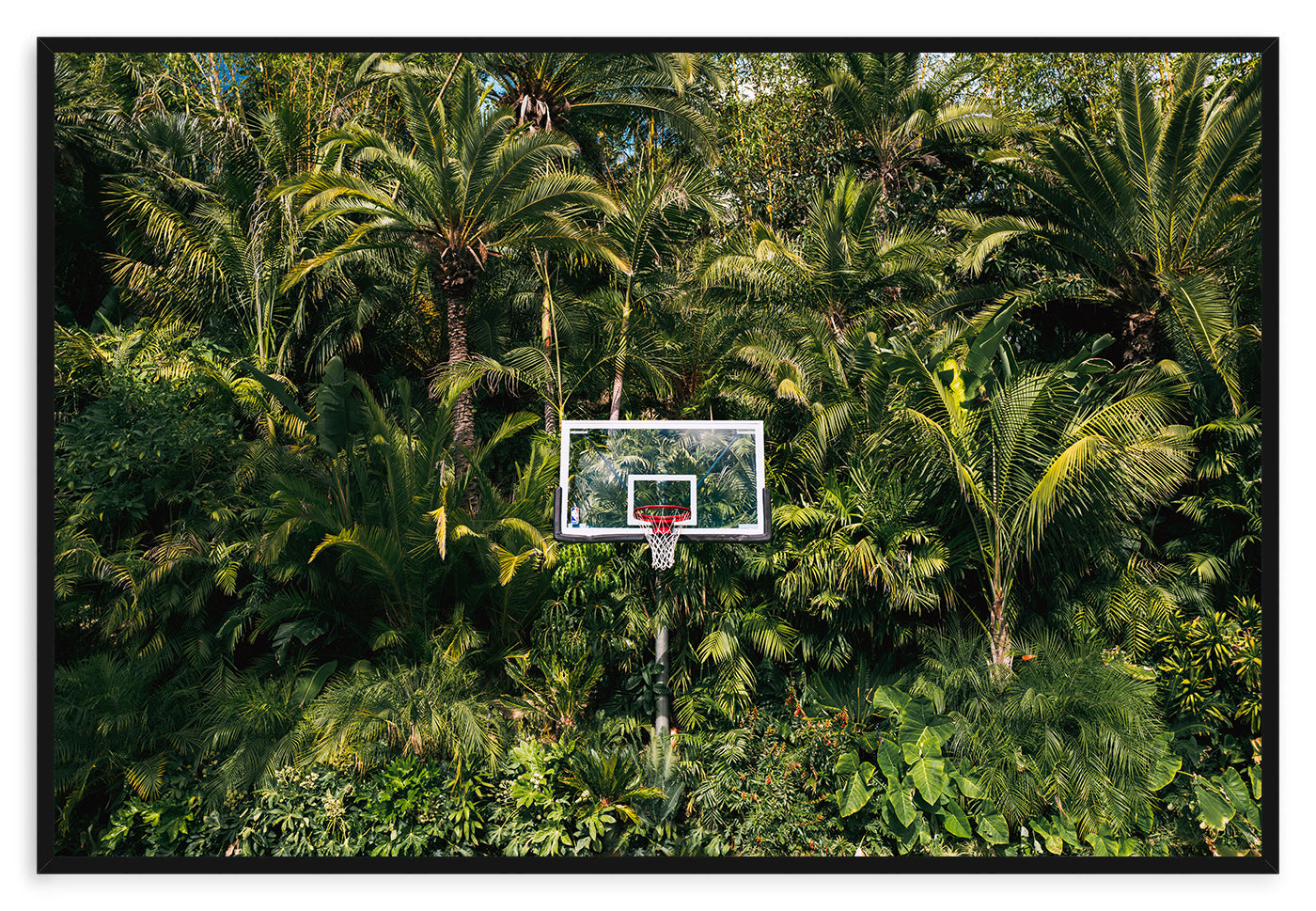 HOOP DREAMS
