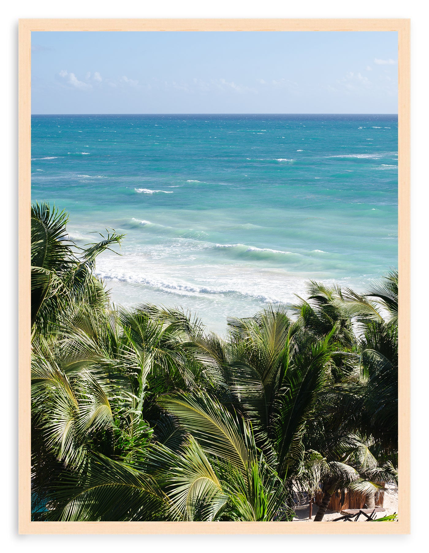 BEYOND THE PALMS