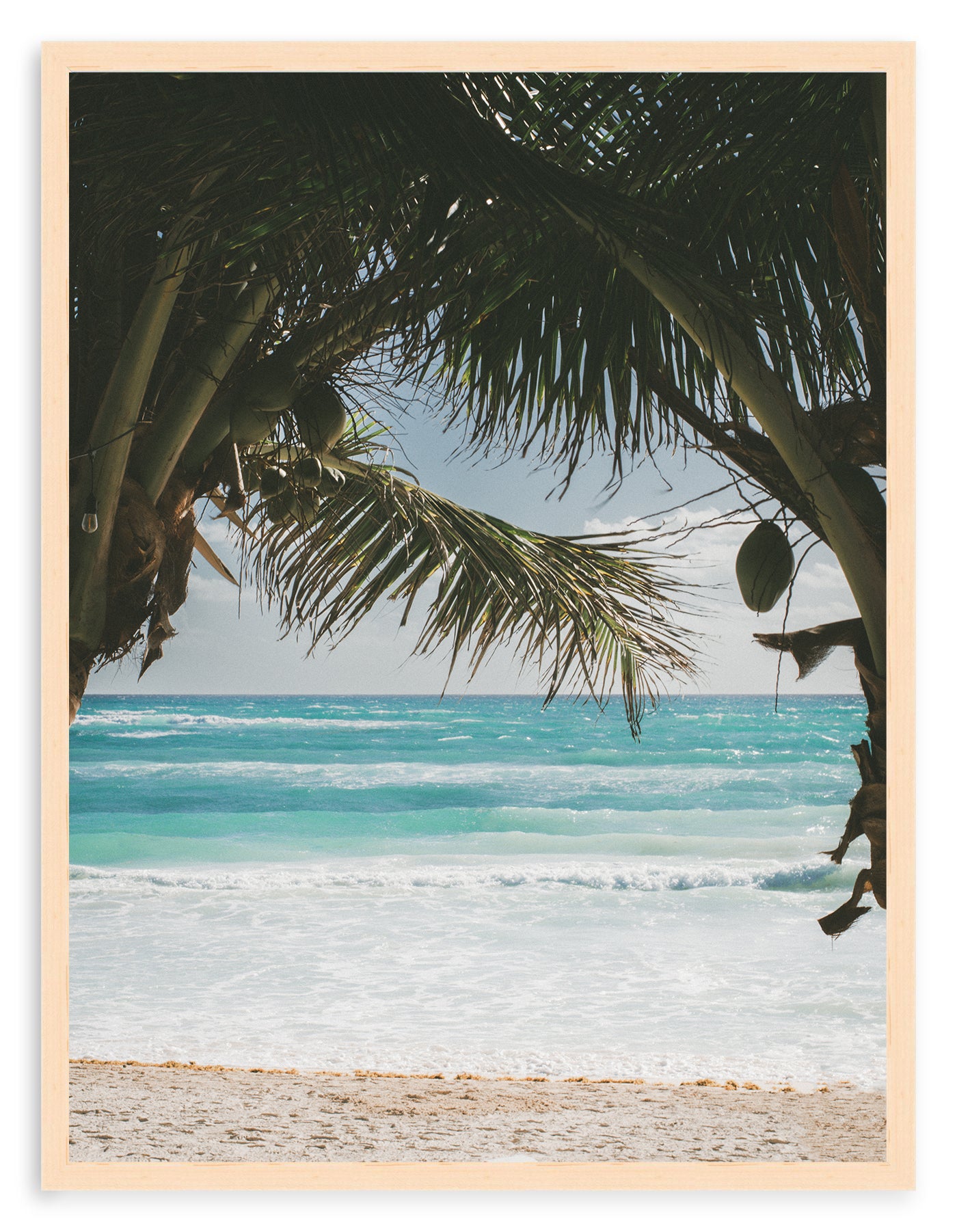 BEYOND THE PALMS II