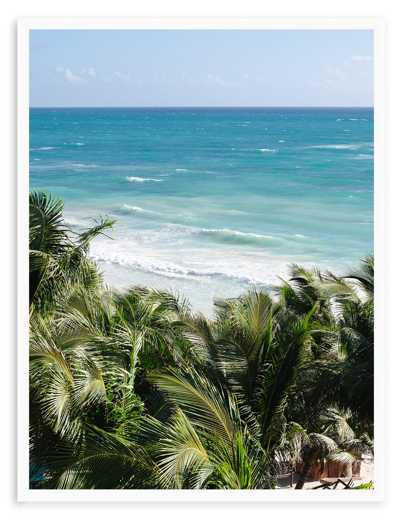 BEYOND THE PALMS