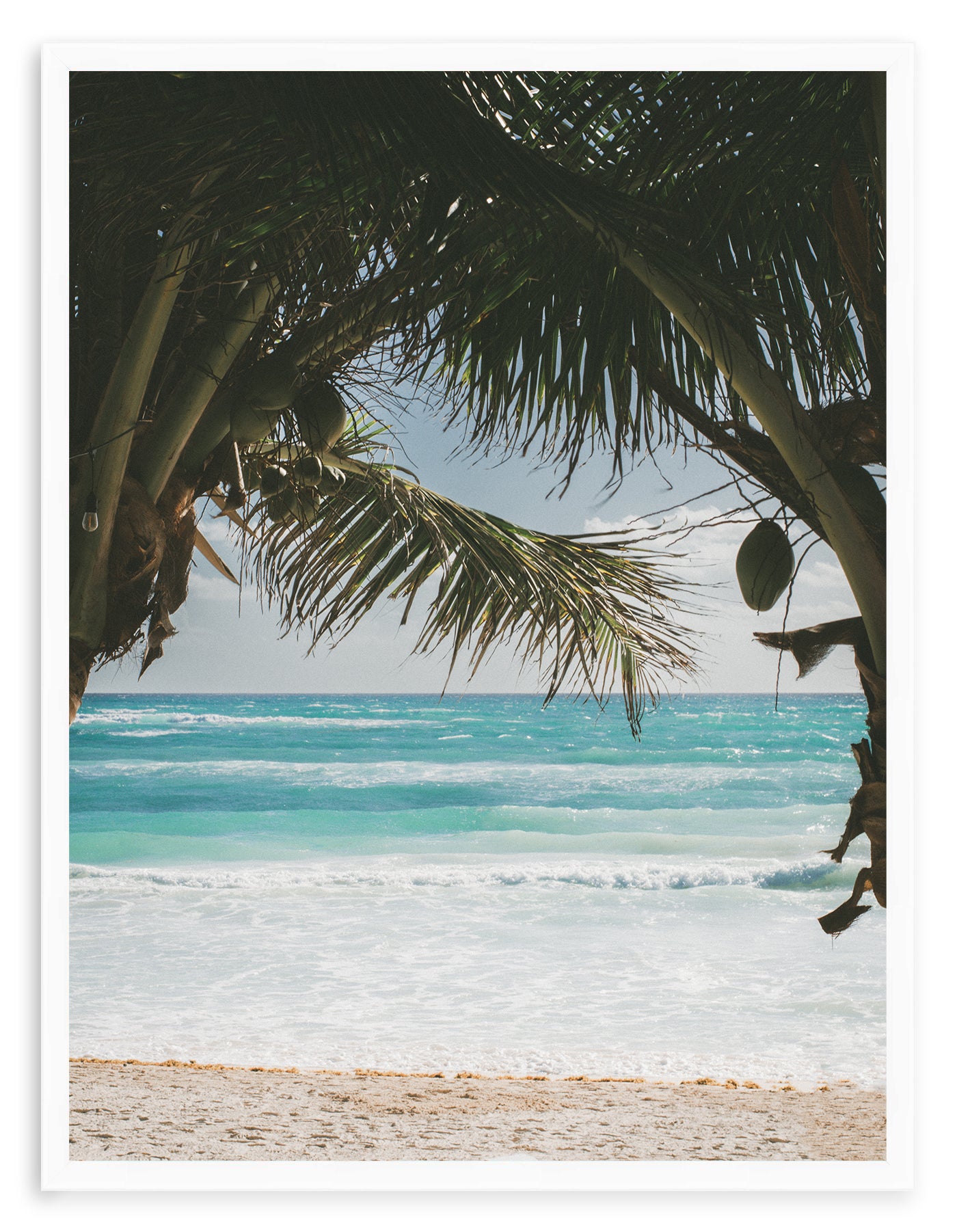BEYOND THE PALMS II