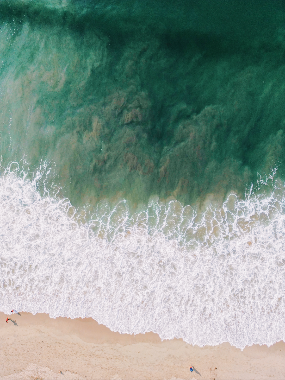 SANTA MONICA WAVES