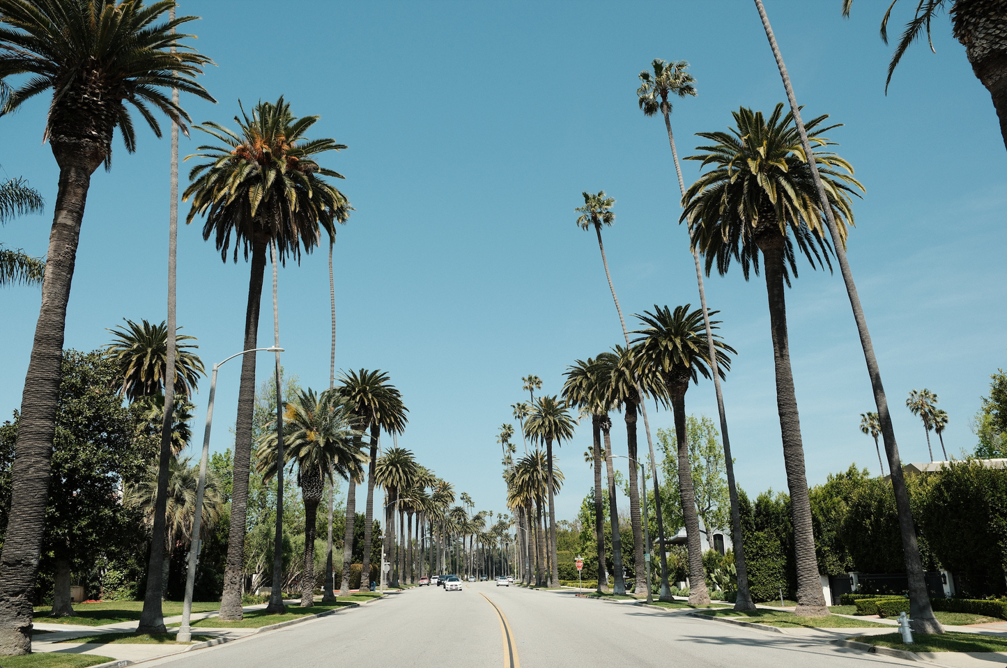 CRUISIN'