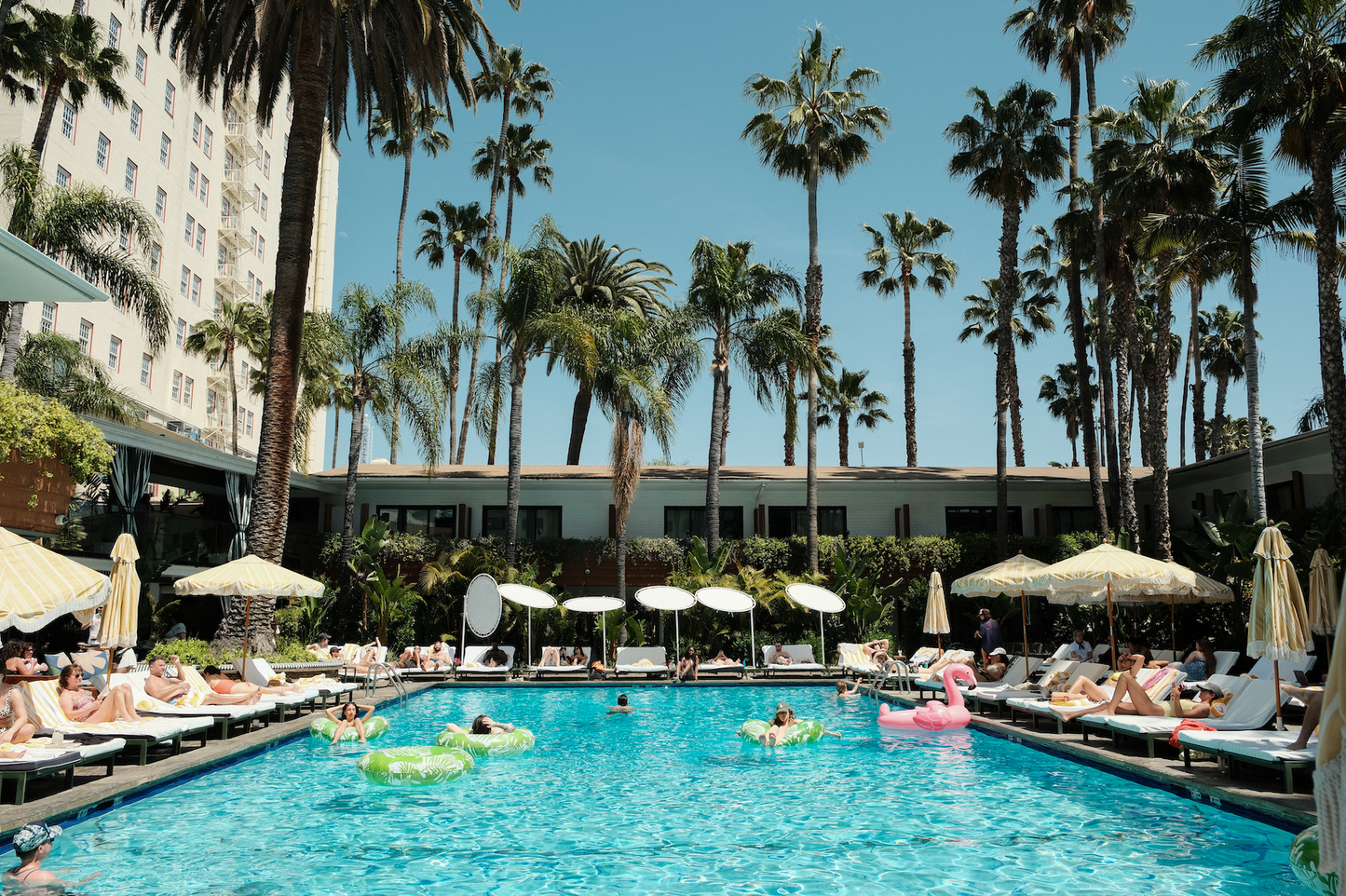 ROOSEVELT POOL