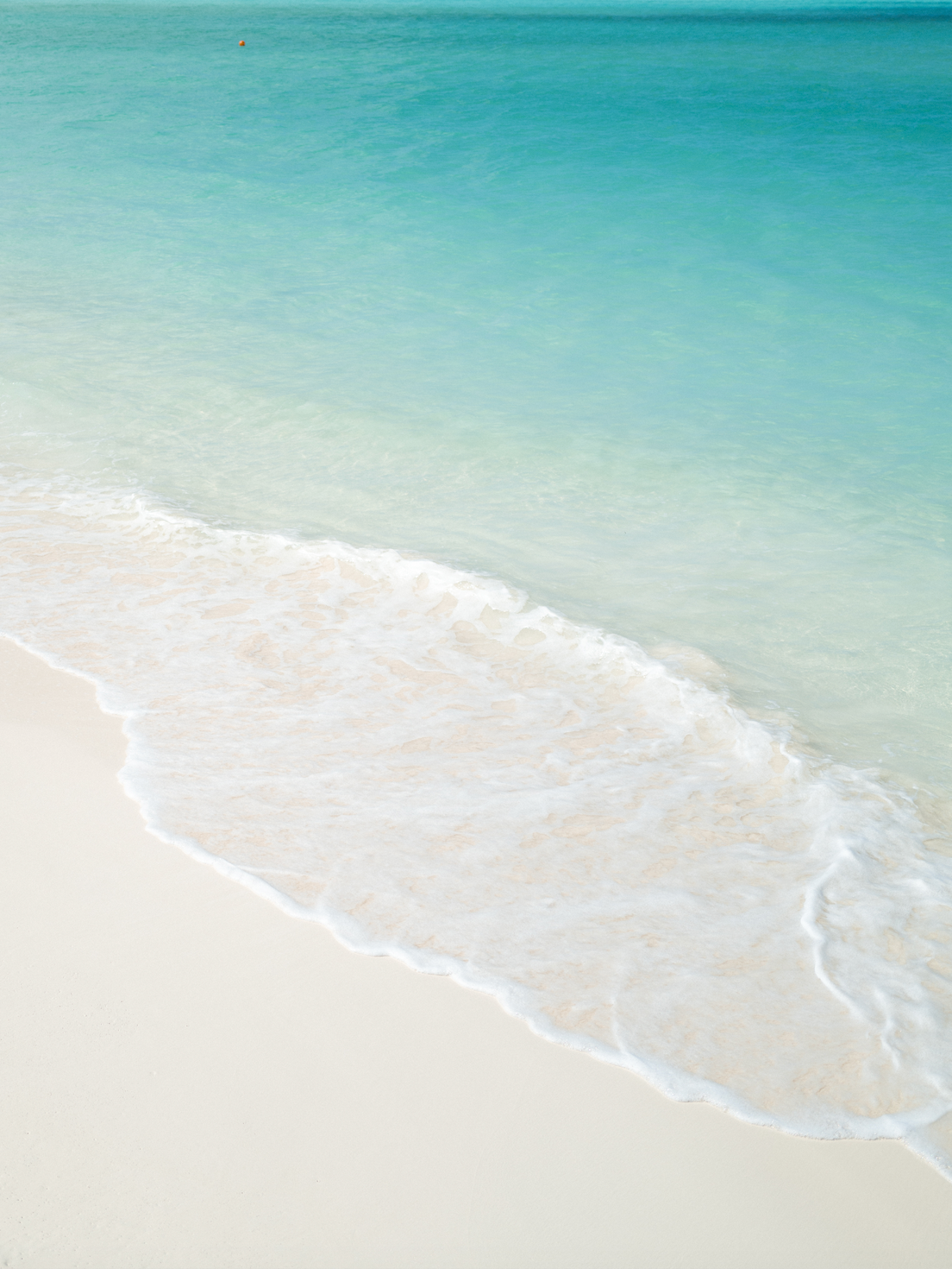 PARADISE ON EARTH II