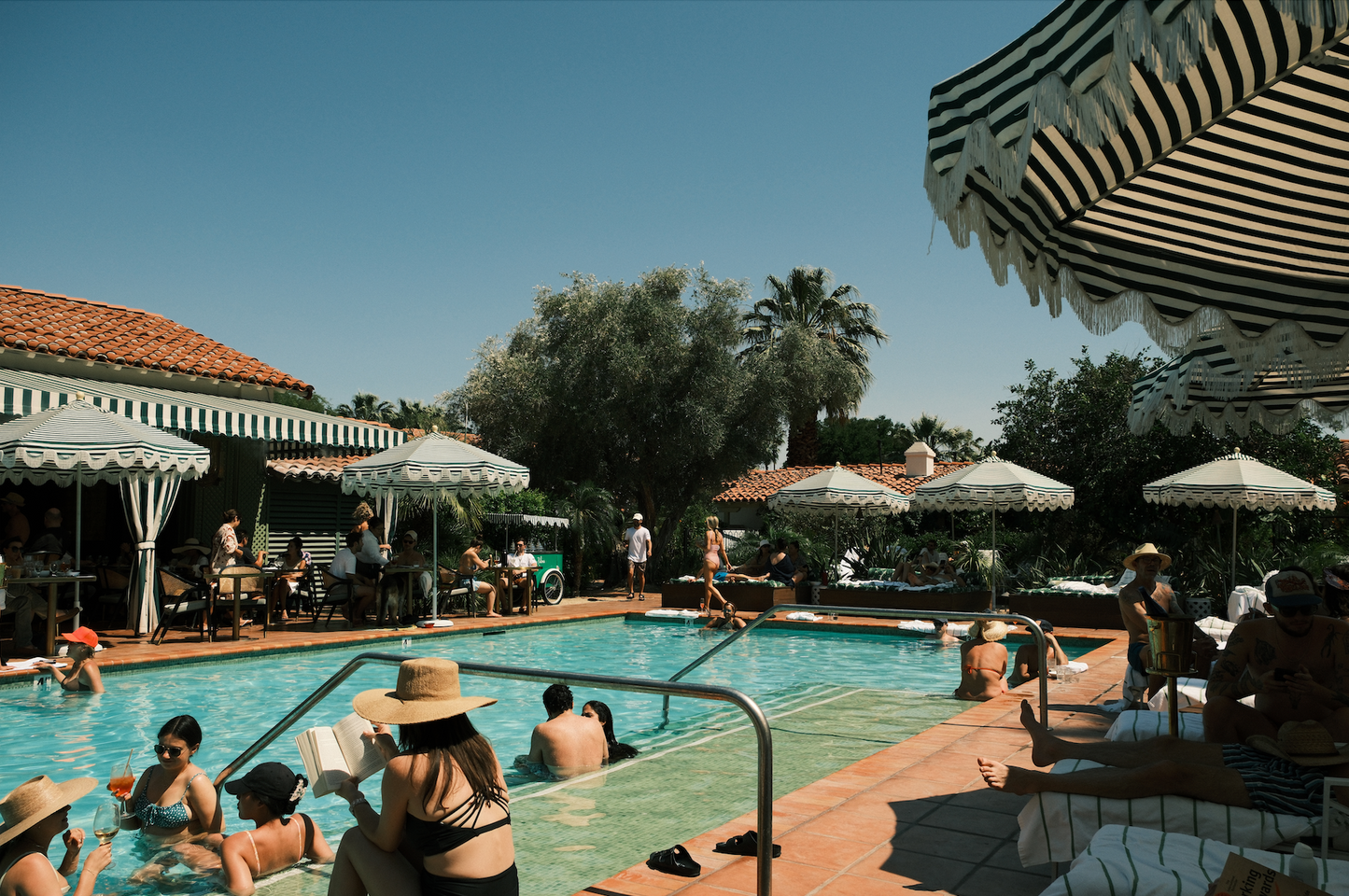 COLONY PALMS