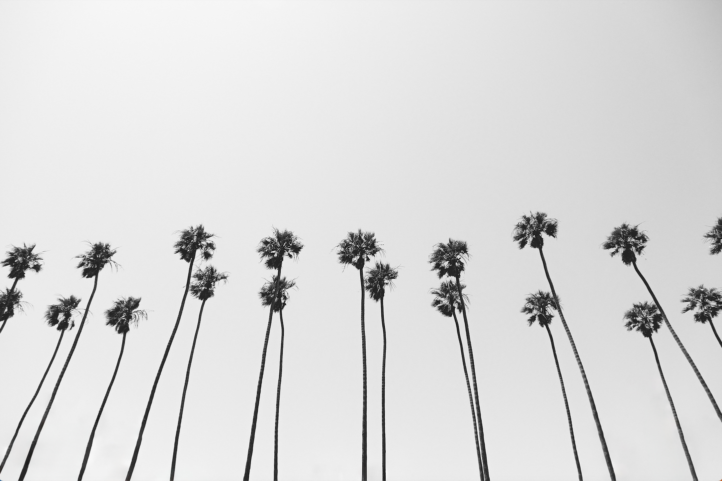 WEST SIDE
