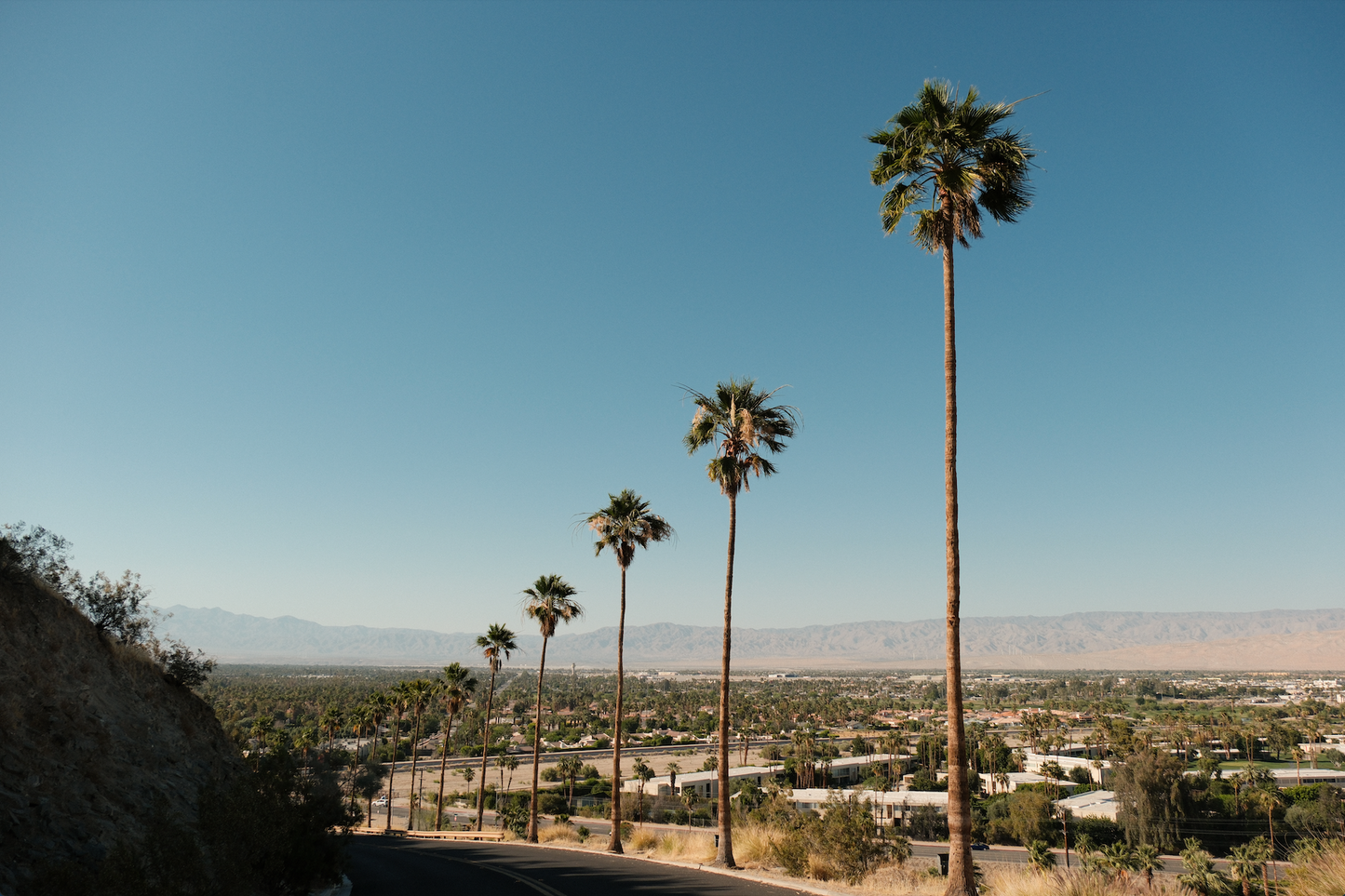 DESERT VIEWS