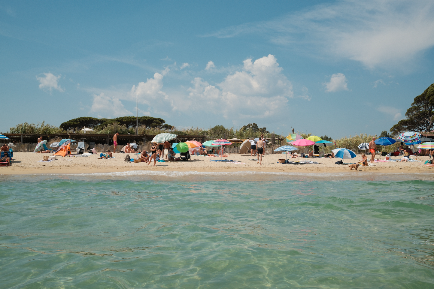 SUMMER BREAK