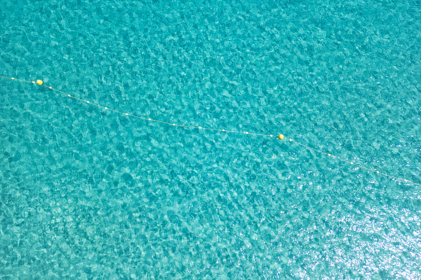 TURQUOISE BLISS
