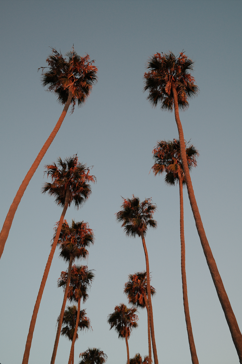OCEAN AVE SUNSET