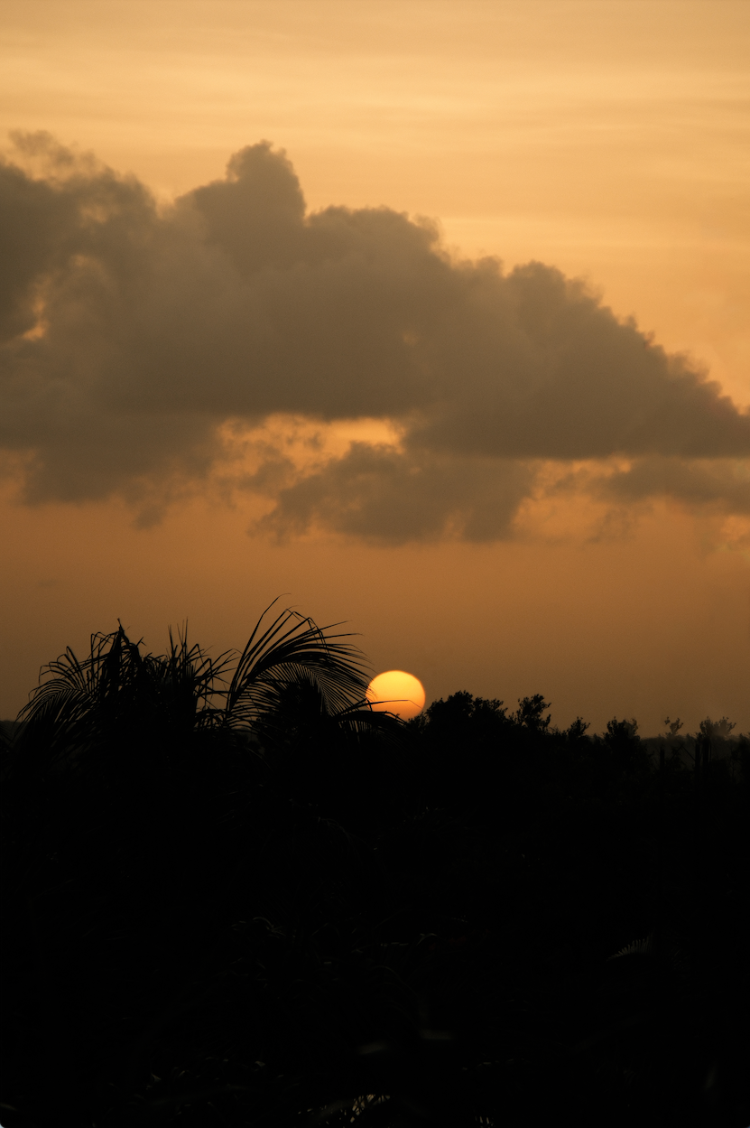 SUNSET SERENITY