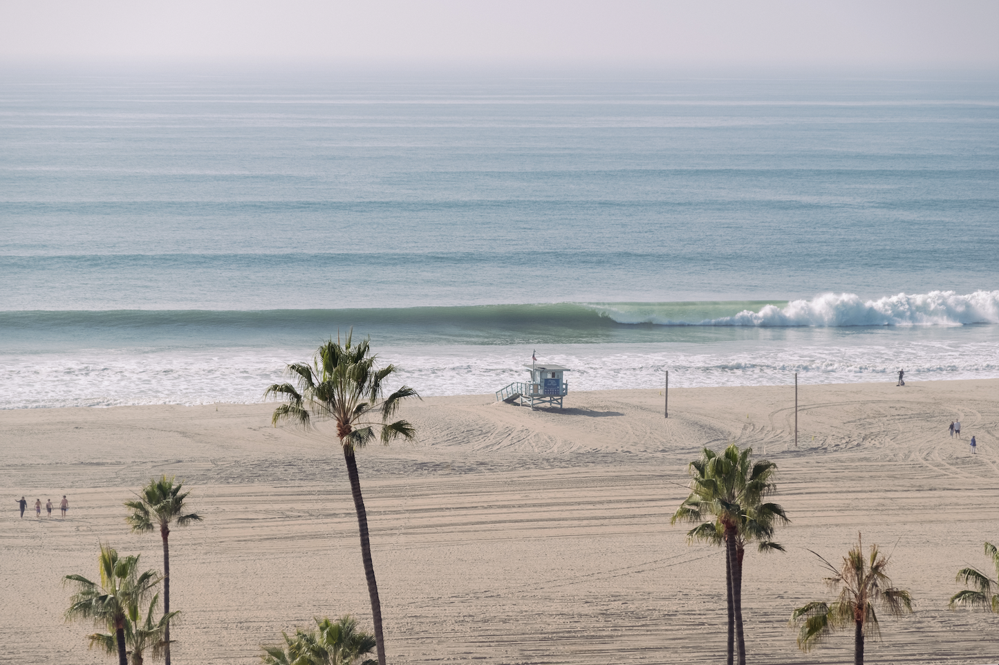 SANTA MONICA SWELL