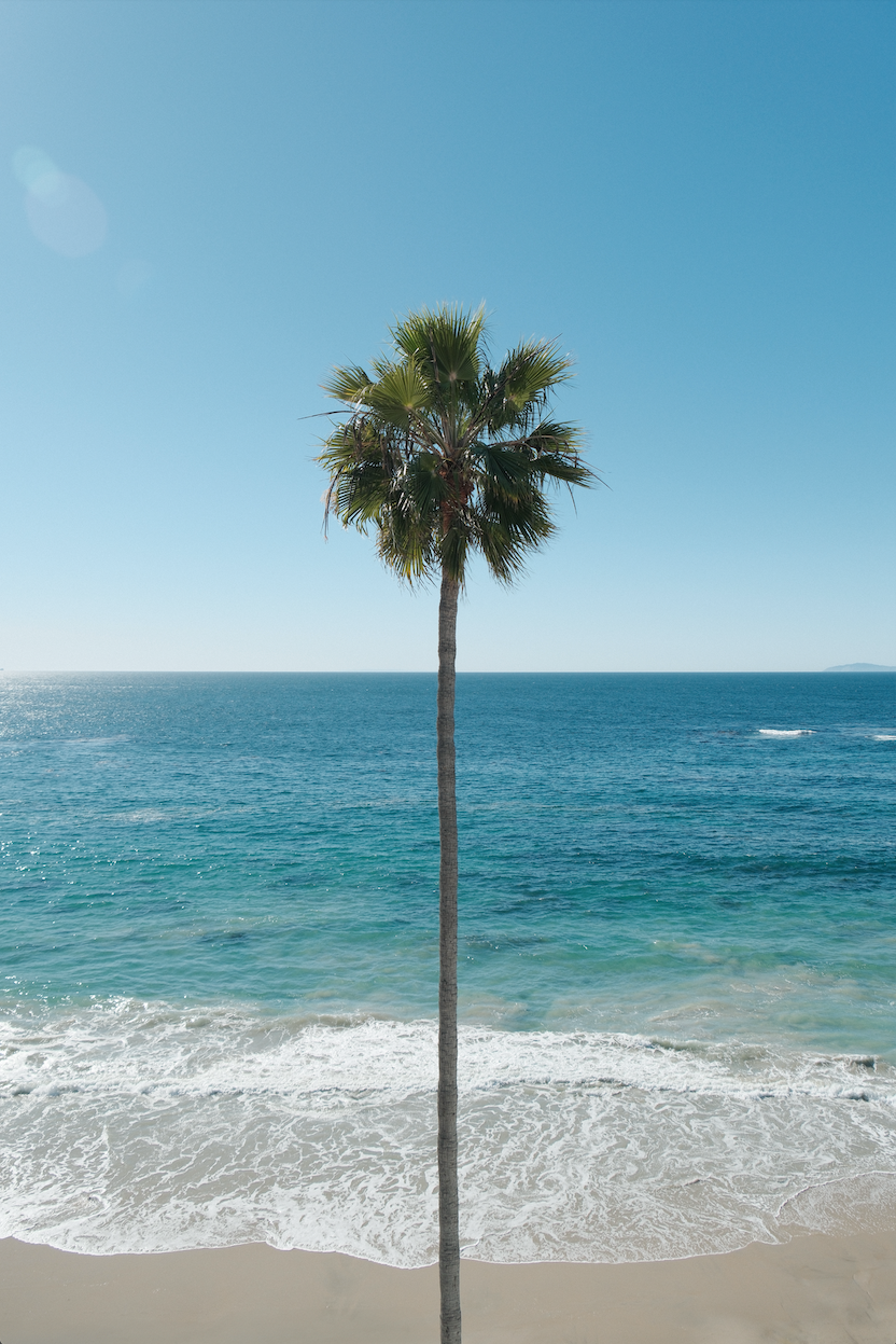 LAGUNA BEACH