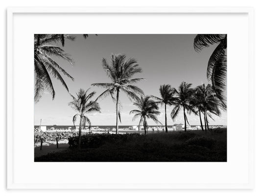 MONOCHROME MIAMI