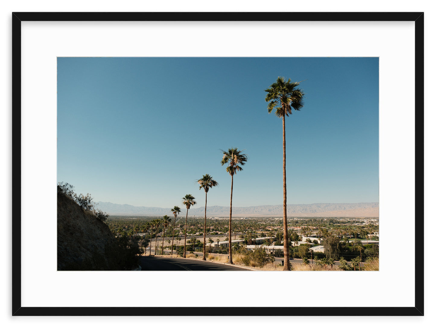 DESERT VIEWS