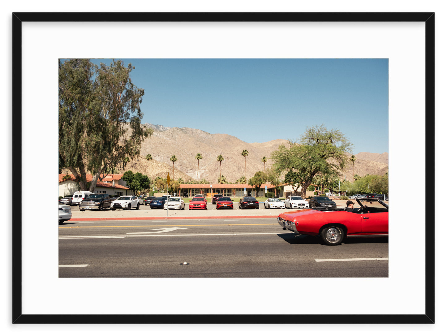 PALM SPRINGS GTO