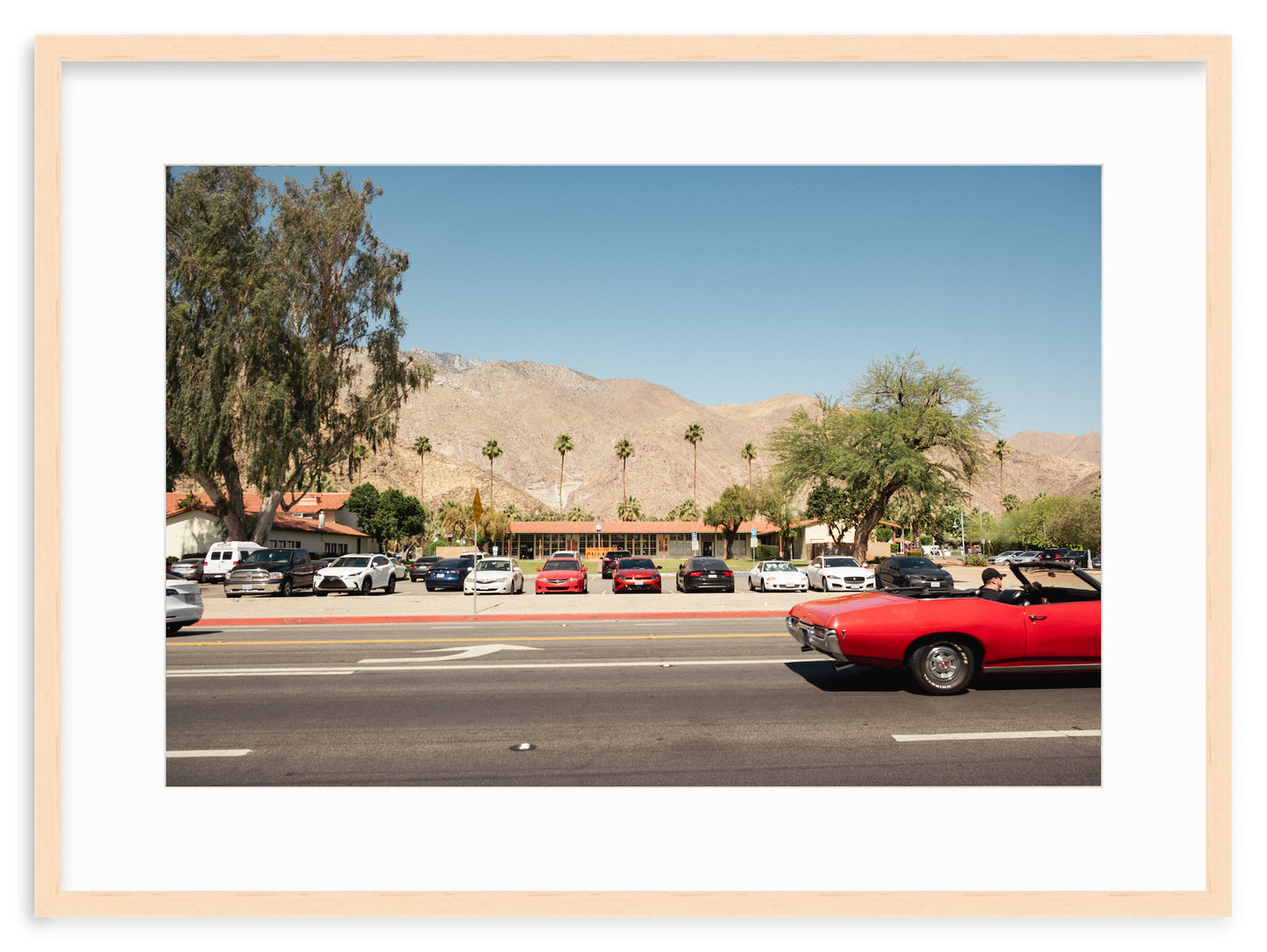 PALM SPRINGS GTO