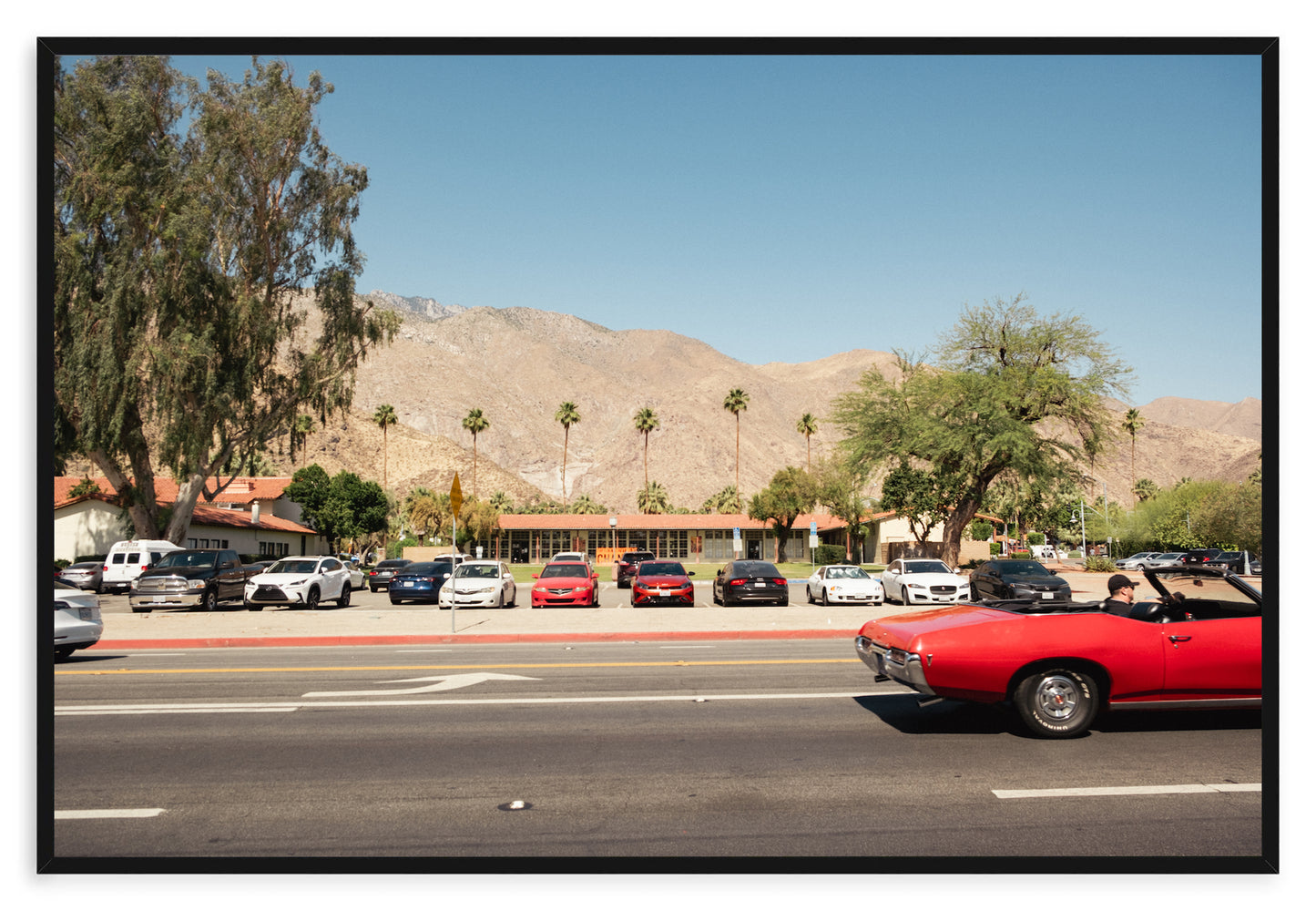 PALM SPRINGS GTO