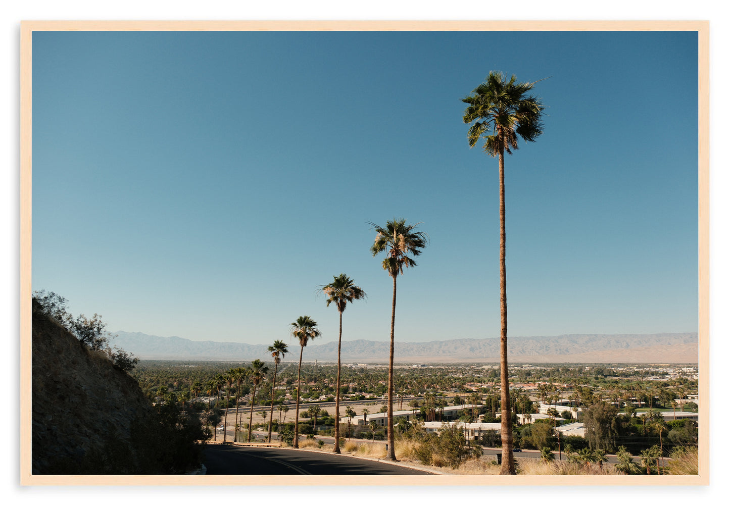 DESERT VIEWS