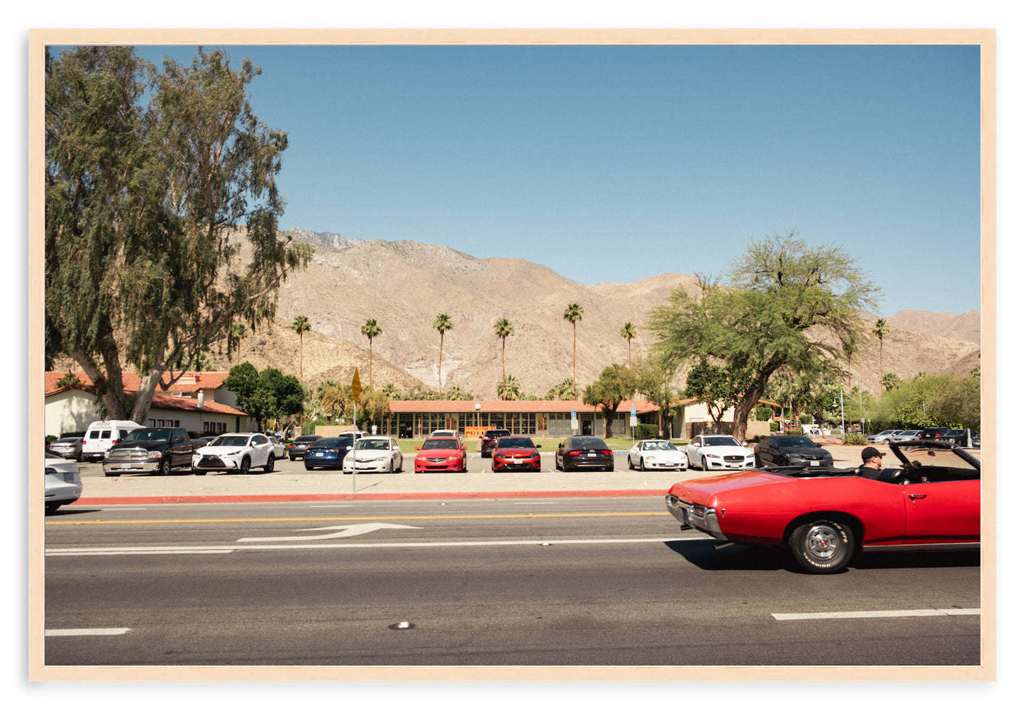 PALM SPRINGS GTO