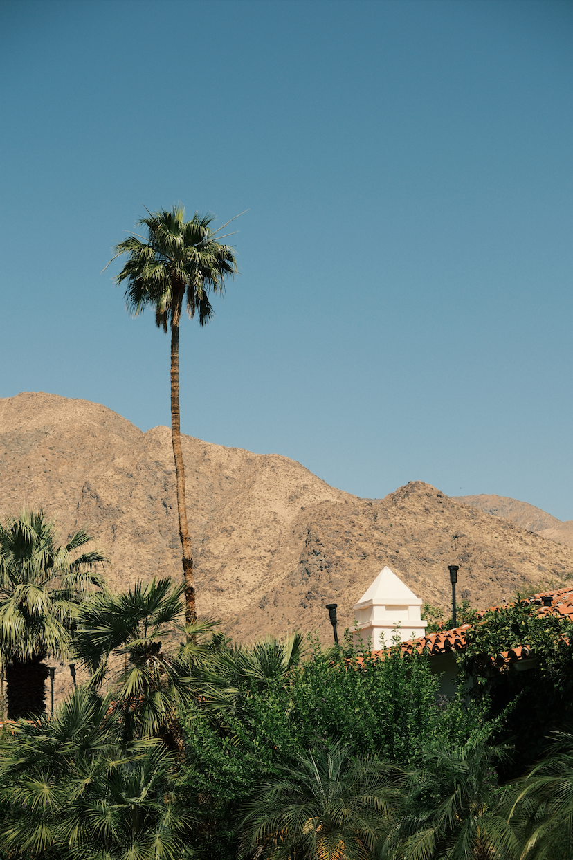 PALM SPRINGS