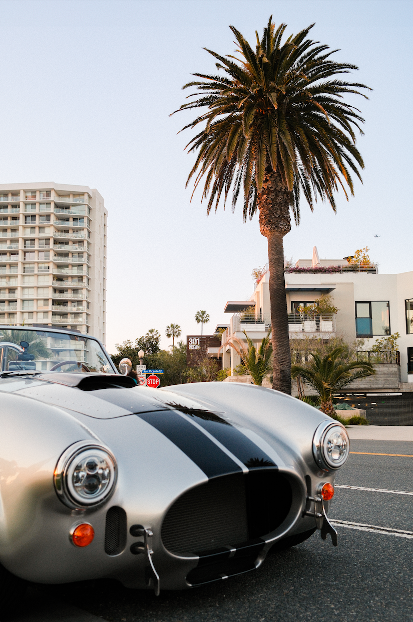 SUNSET COBRA