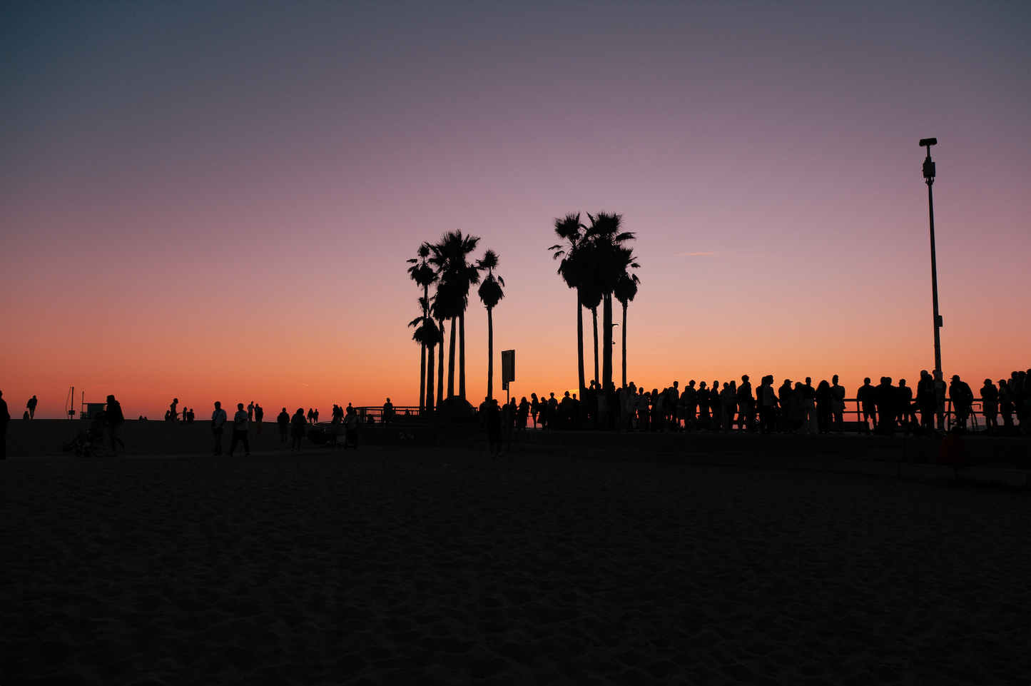 SKATEPARK AT SUNSET