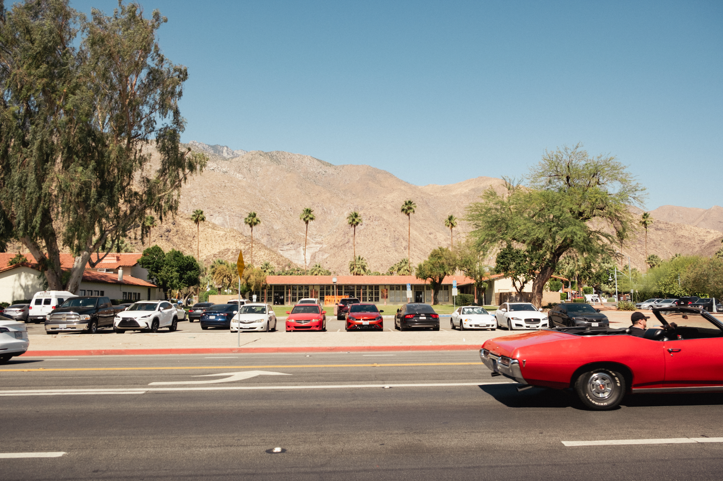 PALM SPRINGS GTO