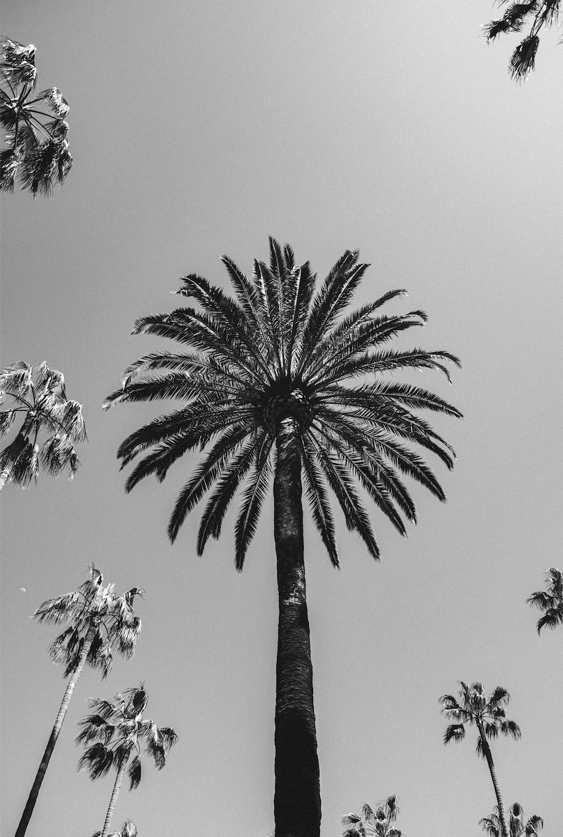 SKY HIGH – Beverly Hills